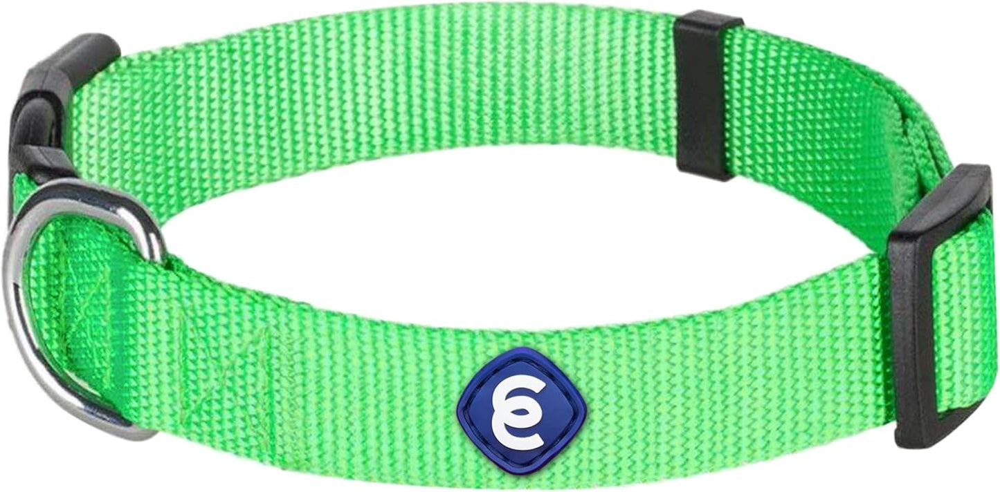 Blueberry Pet Essentials Dog Collar | Adjustable Girl Dog Collars for Medium Dogs | Neon Green Puppy Collar | Classic Nylon Dog Collars for Small Dogs | Pet Accessories