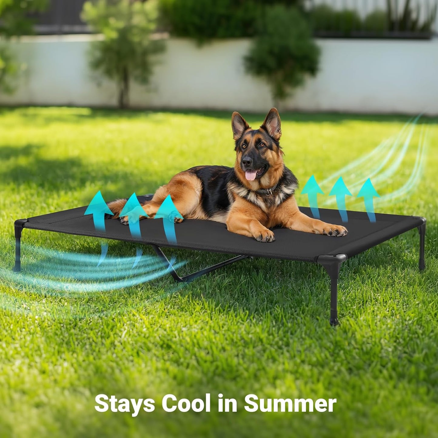 Veehoo Outdoor Elevated Dog Cot Bed, Cooling Raised Pet Bed for X-Large Dog, Washable Breathable Mesh Hammock Bed with No-Slip Feet, Indestructible Ground Off Training Platform Cot-49"x33" Grey