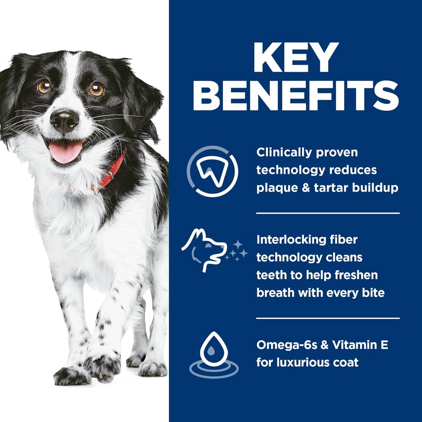 Hill's Science Diet Oral Care, Adult 1-6, Small & Mini Breeds Plaque & Tartar Buildup Support, Dry Dog Food, Chicken, Rice, & Barley, 4 lb Bag