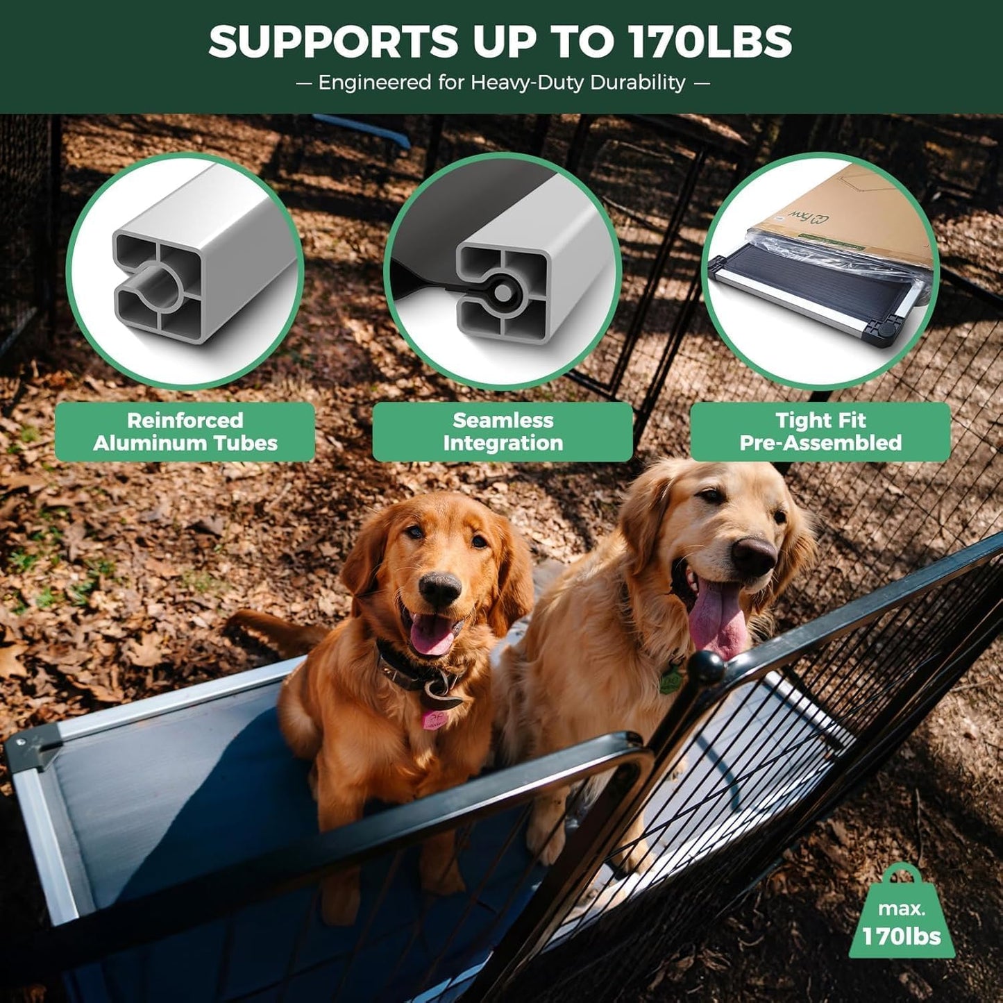 FXW TitanNest Chew-Proof Elevated Dog Bed, Raised Cot for Indoor/Outdoor/Camping Use, Durable & Washable Padded Pet Bed for Medium Dogs, 41.0" L x 27.0" W x 5.0" H, Gray