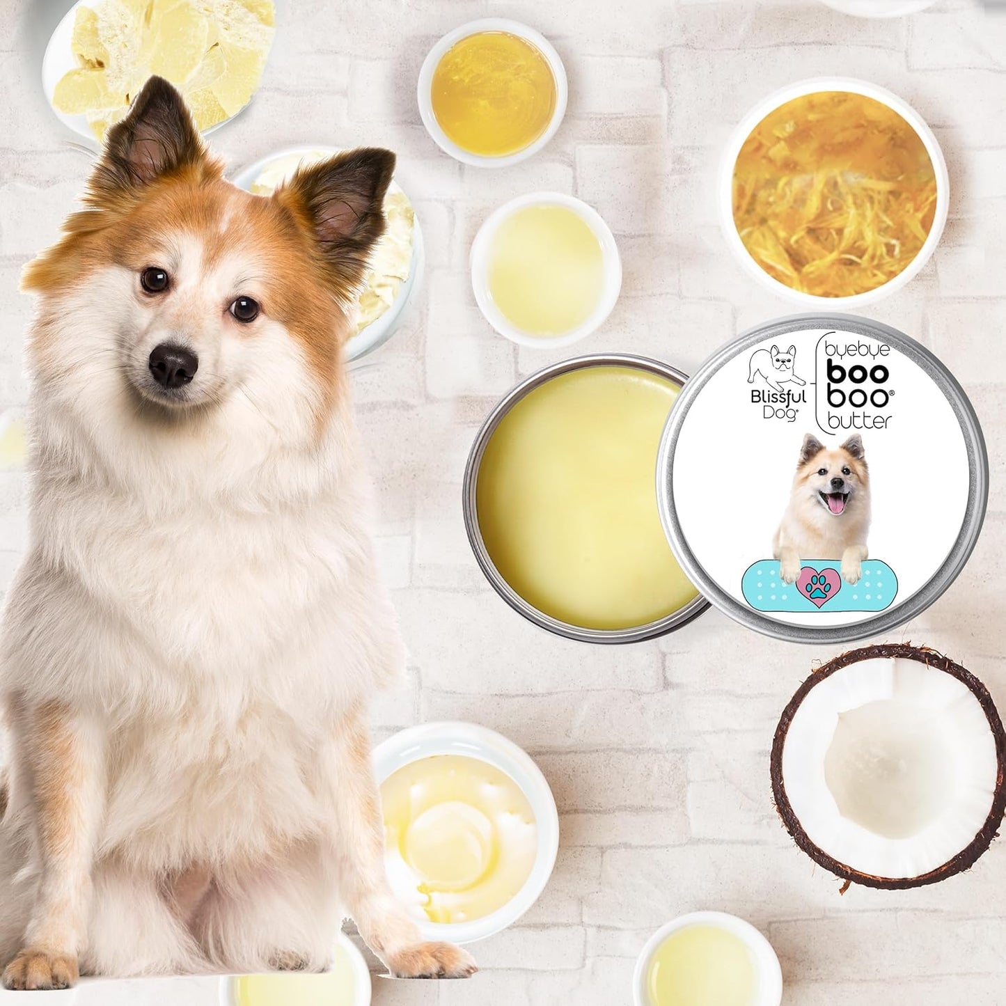 The Blissful Dog Icelandic Sheepdog Boo Boo Butter, 2 Ounce