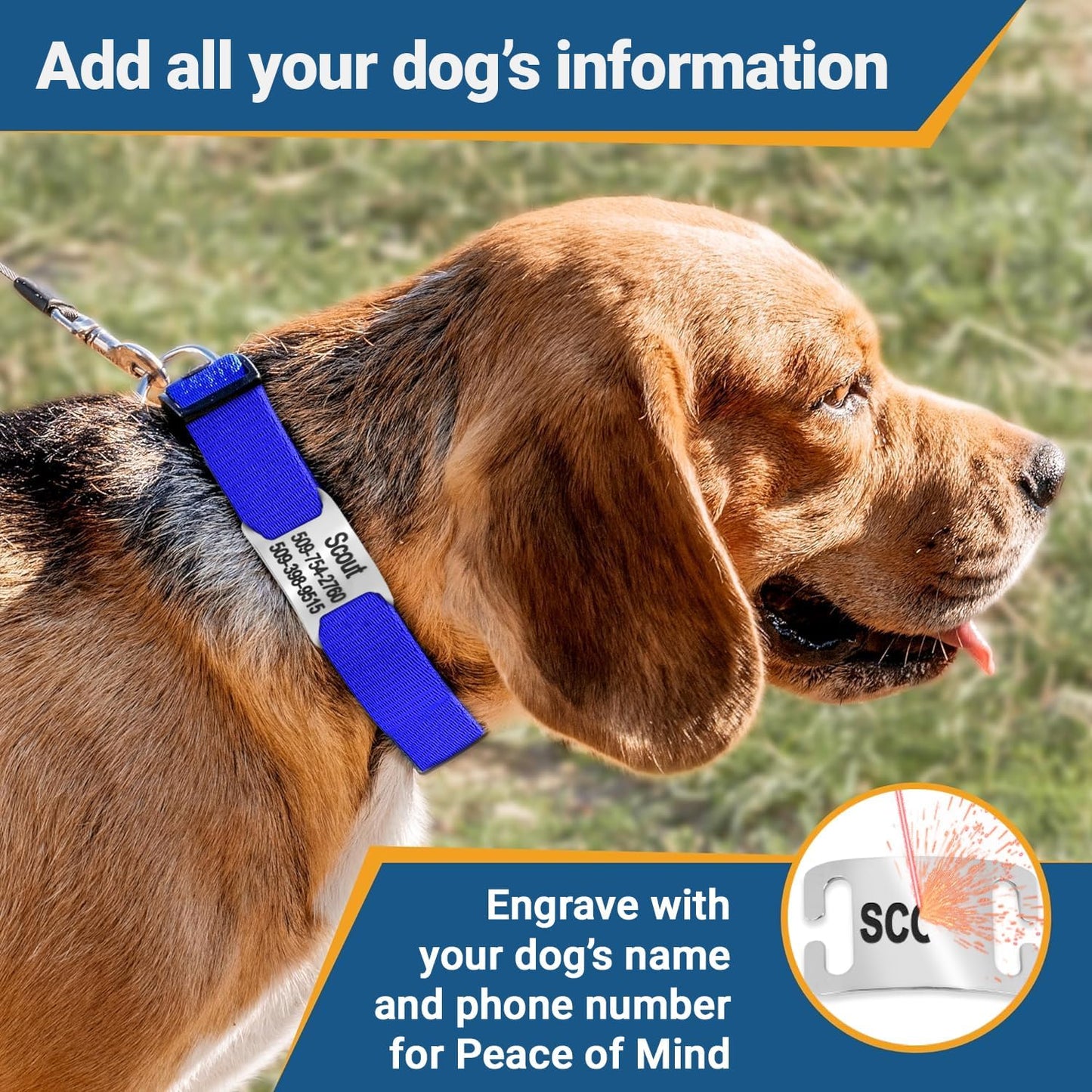 GoTags Personalized Dog Collar with Nameplate, Adjustable Dog Collar with Custom Engraved Slide On Pet ID Tag in Stainless Steel, Silent, No Noise Dog Tag for Large Medium and Small (Blue, Medium)