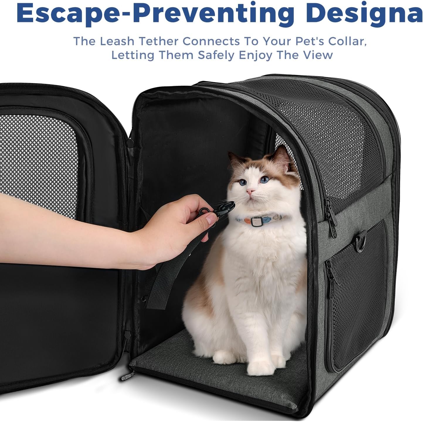 Apollo Walker Pet Carrier Backpack for 4-15lb Cats and Dogs, Puppies, Safety Features and Cushion Back Support | for Travel, Hiking, Outdoor Use (Gray)