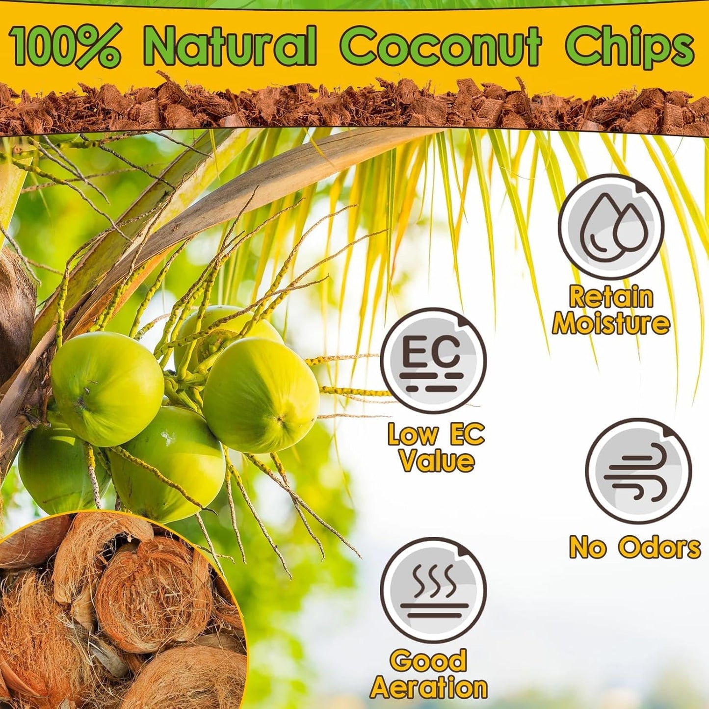 Halatool 6Pack Compressed Coconut Chips Brick Natural Coconut Husk for Reptiles Bedding Coco Coir Chips Terrarium Substrate for Ball Python Frog Snake Gecko Hermit Crab Tortoise