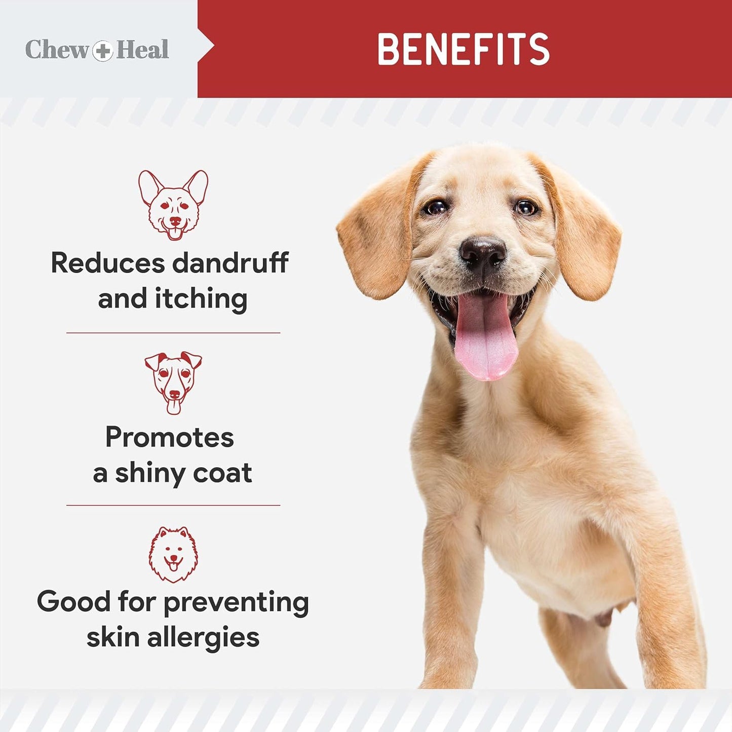 Best Itchy Skin Relief for Dogs -360 Soft Chew Omega Treats for Skin and Coat -Salmon Oil Blend of Fatty Acids, Omega 3, 6, Vitamins, Antioxidants -Made in USA (2 Packs of 180, Bacon Flavor)