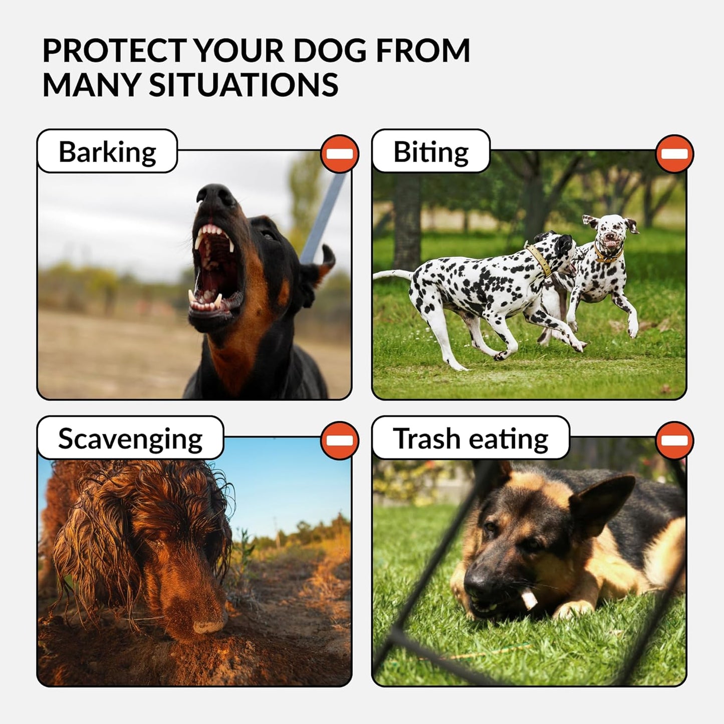 CollarDirect Dog Muzzle German Shepherd Dalmatian Doberman Setter Leather Basket Medium Large Breeds (Black, Large)