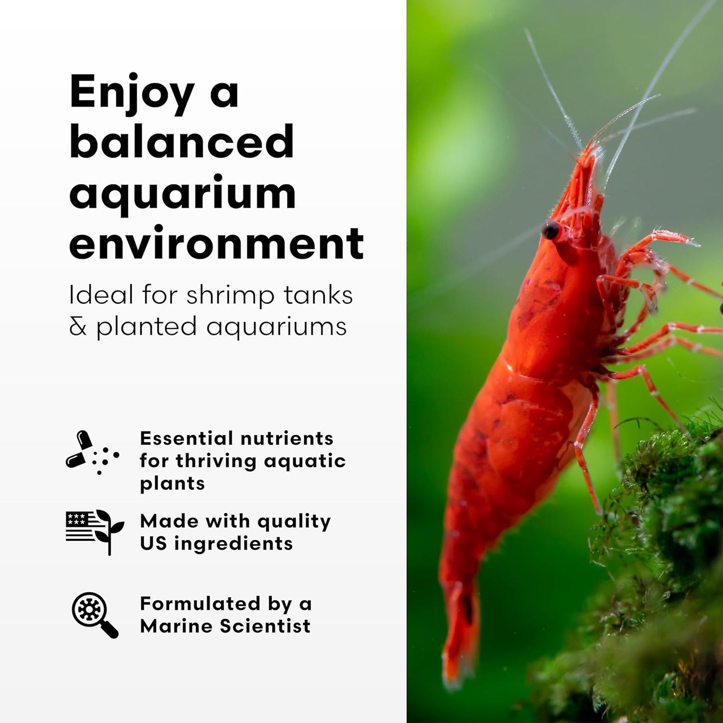 Brightwell Aquatics Shrimp FlorinMulti – Complete Plant Nutrient Supplement for Shrimp & Freshwater Aquariums – Supports Growth, Color & Health – Copper-Free, 500 ml