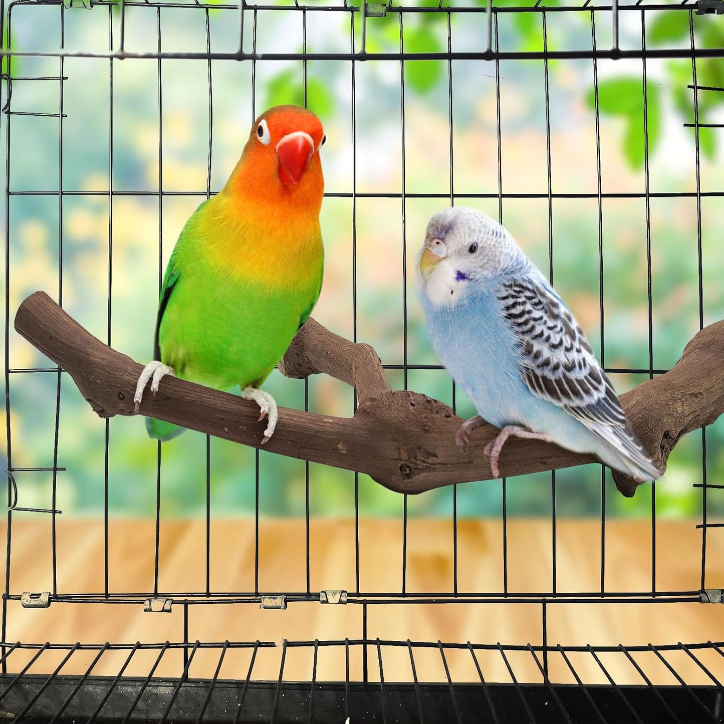 6Pcs Natural Wooden Bird Perch Grape Stick Claw Grinding Fork Bird Perching Branch Claw Grinding Stick Parrot Standing Platform Parrot Cage Chewing Accessories for Parrots Lovebirds Parakeets