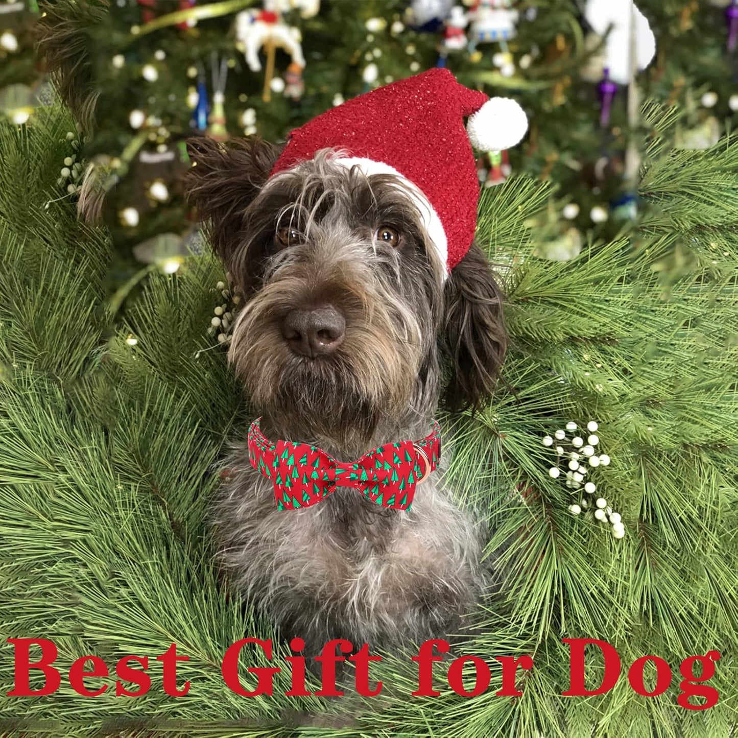 Unique style paws Christmas Dog Collar with Bow Best Winter for Small Medium Large Dogs -Christmas Tree-M