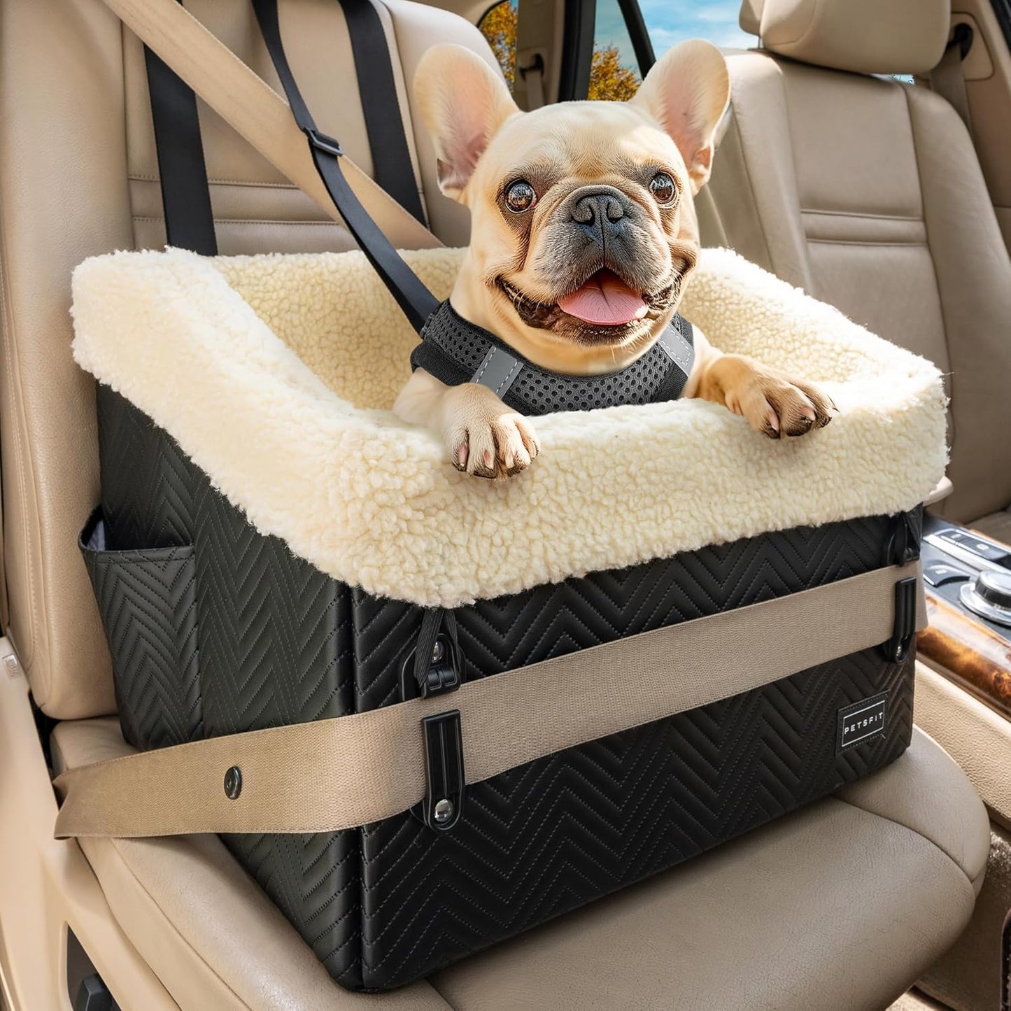 PETSFIT Small Dog Car Seat, Waterproof PU Leather Dog Booster Car Seat with Patented Safe Buckles, Detachable Dogs Seat Belt for Car, Dog Car Seat Medium Sized Dog up to 30 lbs (Black)
