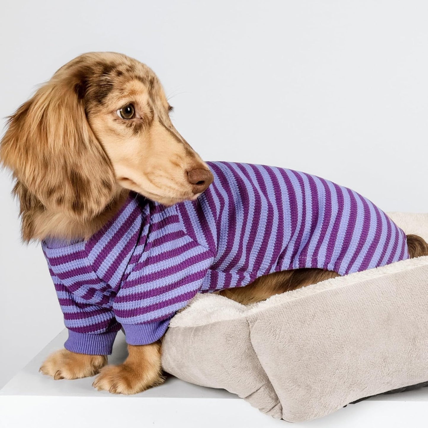 Fitwarm Purple and Violet Striped Dog Pajamas, Waffle Dog Clothes for Small Dogs Girl Boy, Puppy Onesie with Feet, Pet Cat Outfit, Large