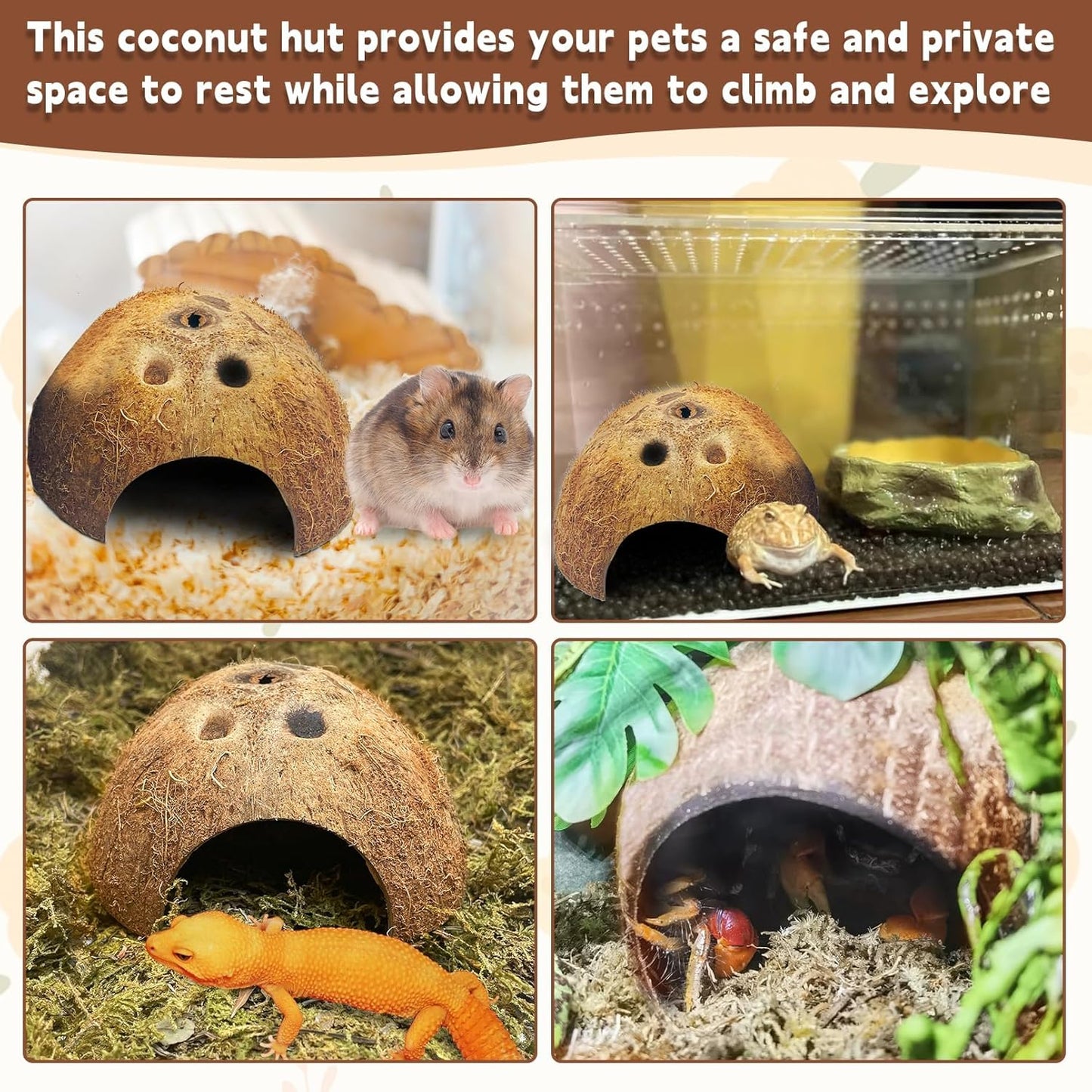 PINVNBY Natural Coconut Reptile Hideouts Lizard, Coco Hut Hermit Crab Hut Aquarium Fish Hide Cave for Small Reptile Crested Gecko Leopard Gecko Spider Snail Climber Toys (2 PCS Natural Surface)