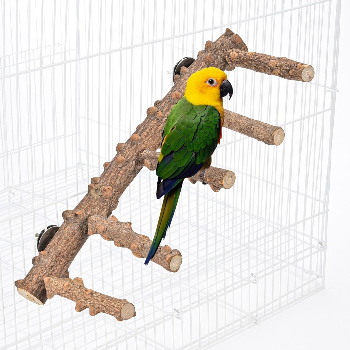 CozyCabin Natural Bird Ladder Stand, Hanging Multi Branch Grapevine Parrot Perch Bird Cage Toys for Small Budgies Conure Parakeets Cockatiels Lovebirds (Ladder)