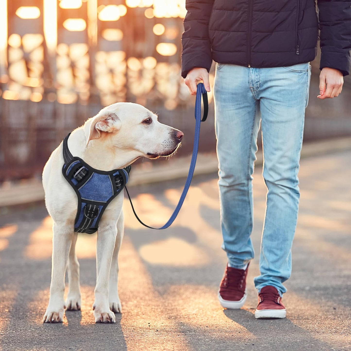 BUMBIN Dog Harness for Large Dogs, No Pull Adjustable No Choke Pet Vest with Dog Leash Fit Smart Reflective Pet Walking Harness for Training Easy Control Soft Handle Denim Blue M