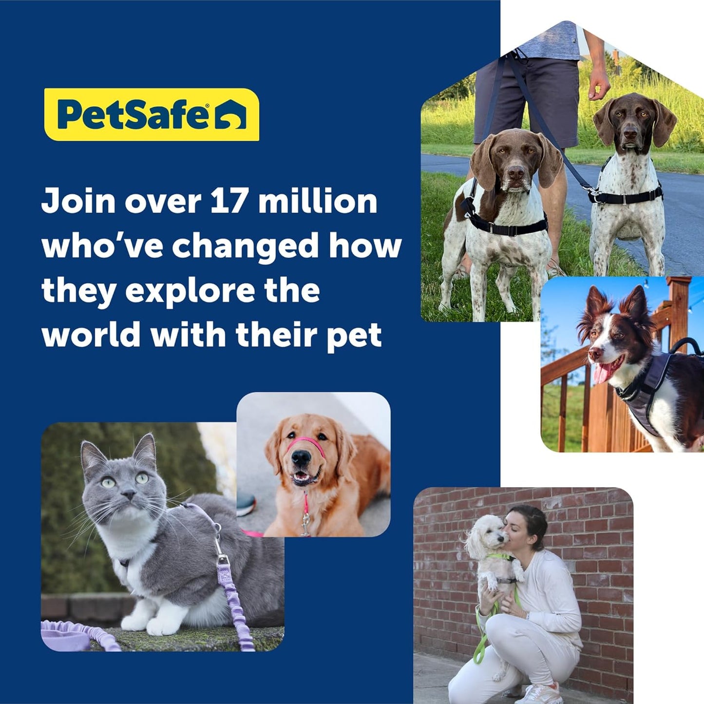 PetSafe 3 in 1 Dog Harness - No Pull Solution for Dogs - Reflective Dog Harness - Front D-Ring Clip Helps Stop Pulling - Comfortable Padded Straps - Top Handle Enhances Control - Black - Extra Small