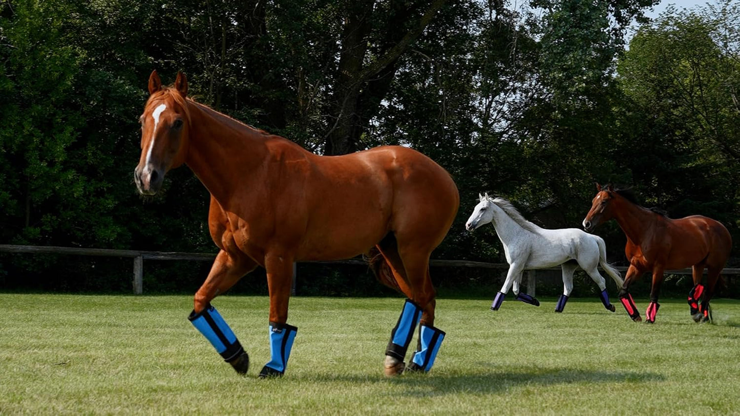 Warrior Fly Boots for Donkeys, Ponys, or Yearlings - Breathable Mesh Horse Boots for Fly Protection & Leg Comfort - Set of 4 (Mighty Warrior, Gray)