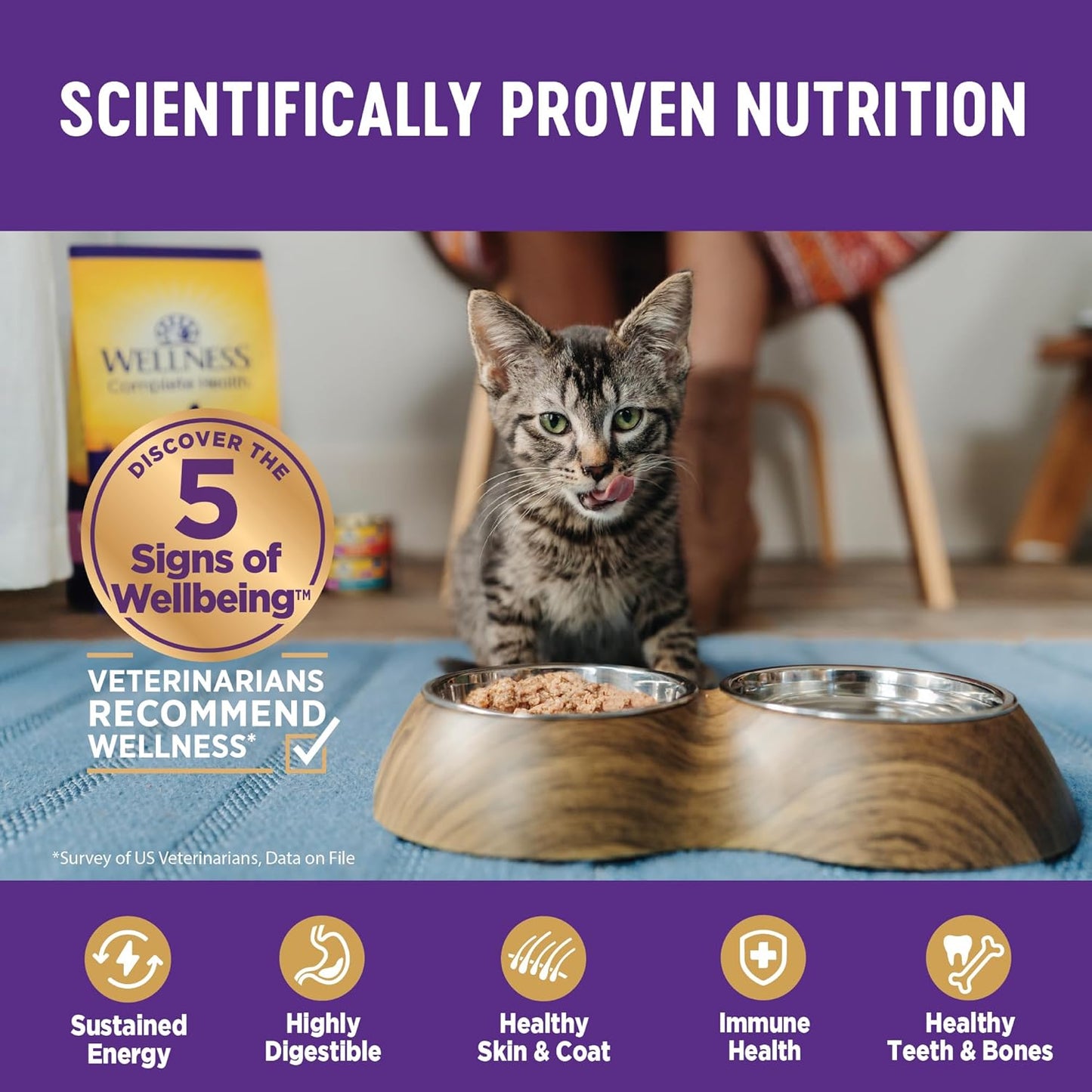 Wellness Complete Health Morsels Adult Wet Cat Food, Natural, Protein-Rich, Grain Free, 3 Ounce, 24 Pack, (Chicken Entrée)