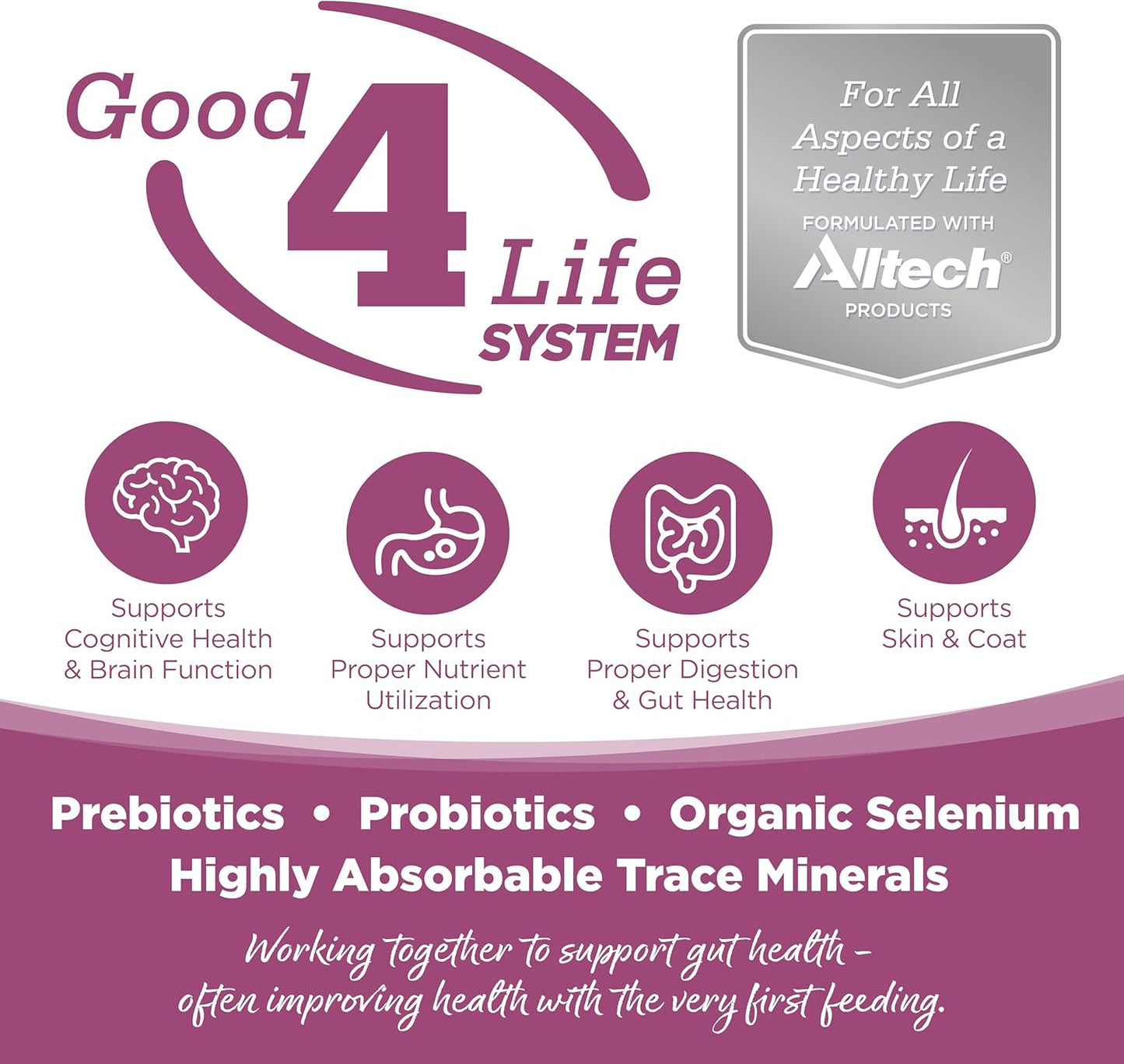 NutriSource Element Series Wild Range Dry Dog Food, Chicken, Pork & Bison, 12LB