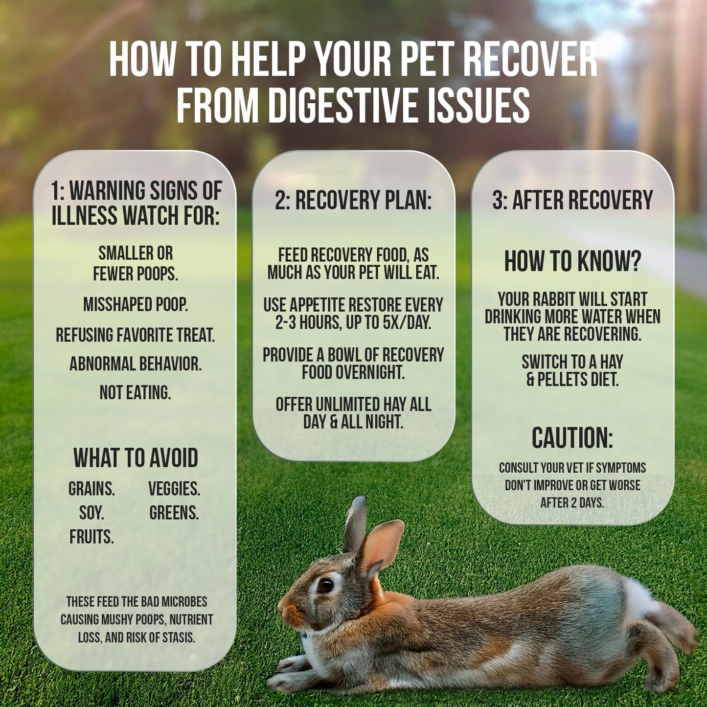 Sherwood Pet Health Rabbit Emergency kit and Bulk Recovery Food (Large kit)
