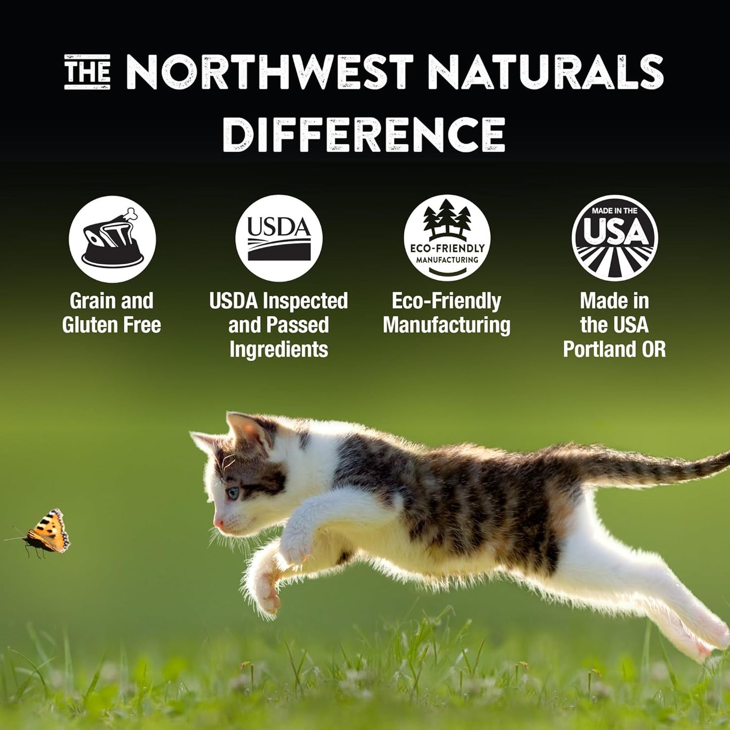 Northwest Naturals Freeze-Dried Whitefish Cat & Kitten Food – Bite-Sized Nibbles, Healthy, Limited, Human-Grade Ingredients, All-Natural, High-Protein Raw Diet, Complete & Balanced, Grain-Free – 11 oz