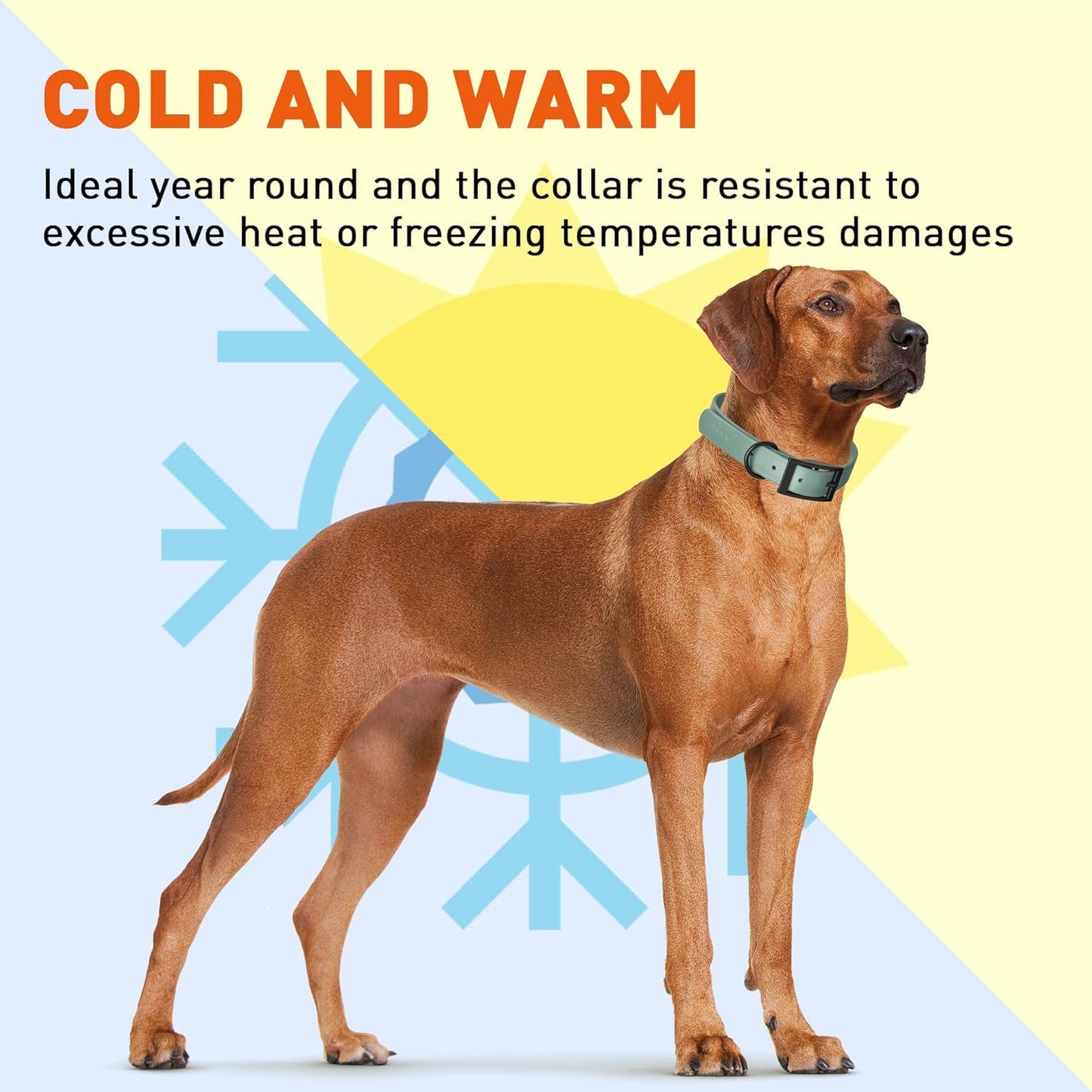 Dogline Biothane Waterproof Dog Collar Strong Coated Nylon Webbing with Black Hardware Odor- Proof for Easy Care Easy to Clean High Performance Fits Small Medium or Large Dogs, Sage Green