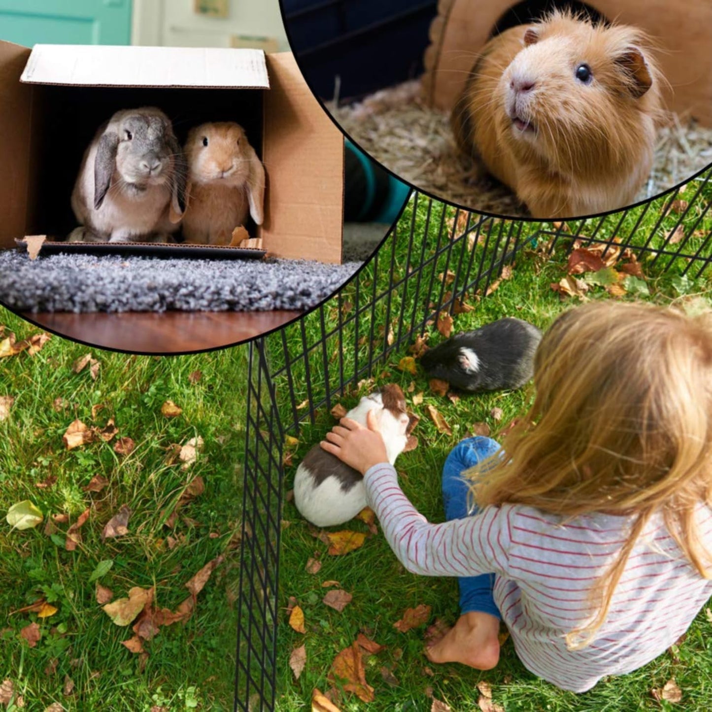 BestPet 36" Tall Dog Playpen Crate Fence Pet Kennel Play Pen Exercise Cage