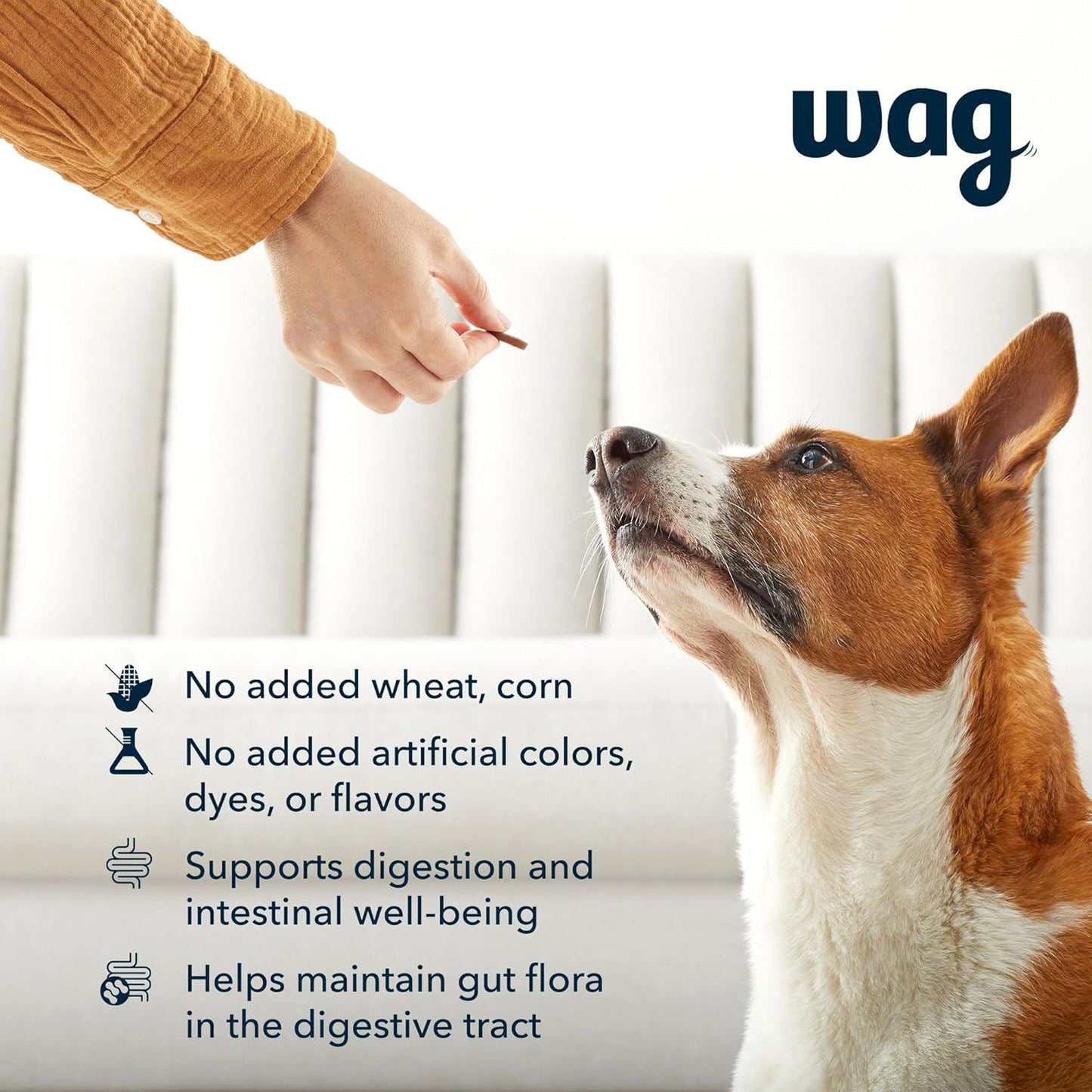 Amazon Brand - Wag Probiotic Supplement Daily Chews for Dogs, Supports Digestion and Gut Health, Natural Duck Flavor, 90 count