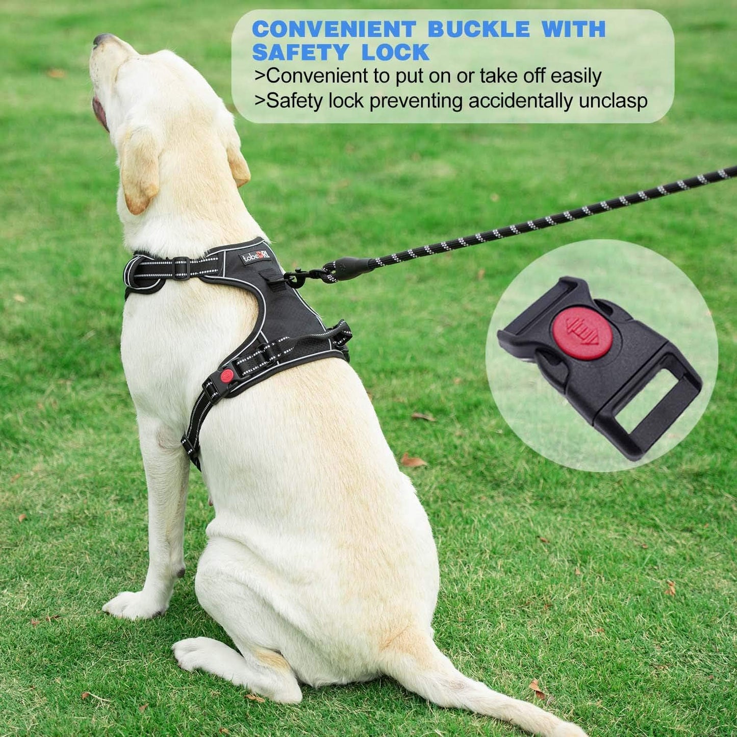 No Pull Dog Harness Adjustable Reflective Oxford Easy Control Medium Large Dog Harness with A Free Heavy Duty 5ft Dog Leash (XL (Neck: 21.5"-33", Chest: 30"-39.5"), Pink Harness+Leash)