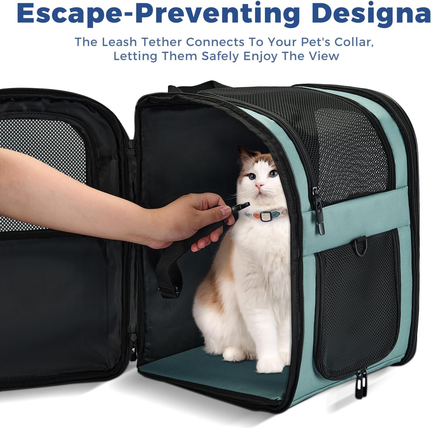 Apollo Walker Dog & Cat Carrier Backpack for 4-15lb Pets - Ventilated Safe Design with Padded Back Support, Breathable Mesh Pet Backpack for Hiking, Travel, Outdoor (Blue)