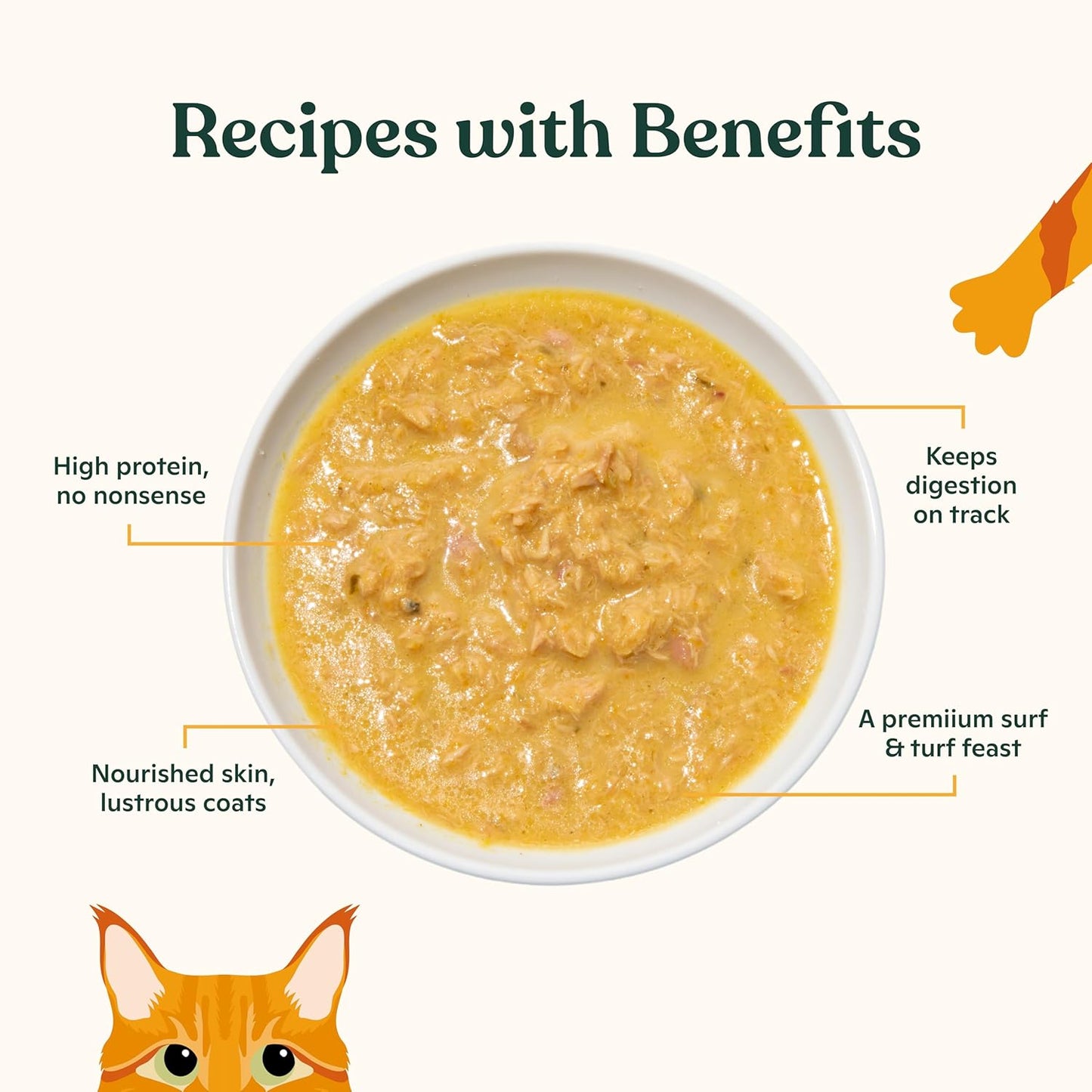 Made by Nacho Flaked Filets Recipe in Bone Broth, Grain-Free Chef's Selects Wet Food for Cats Balanced Diet in Naturally Hydrating Pumpkin-Infused Broth (3.0 oz (Pack of 12), Chicken & Tuna)
