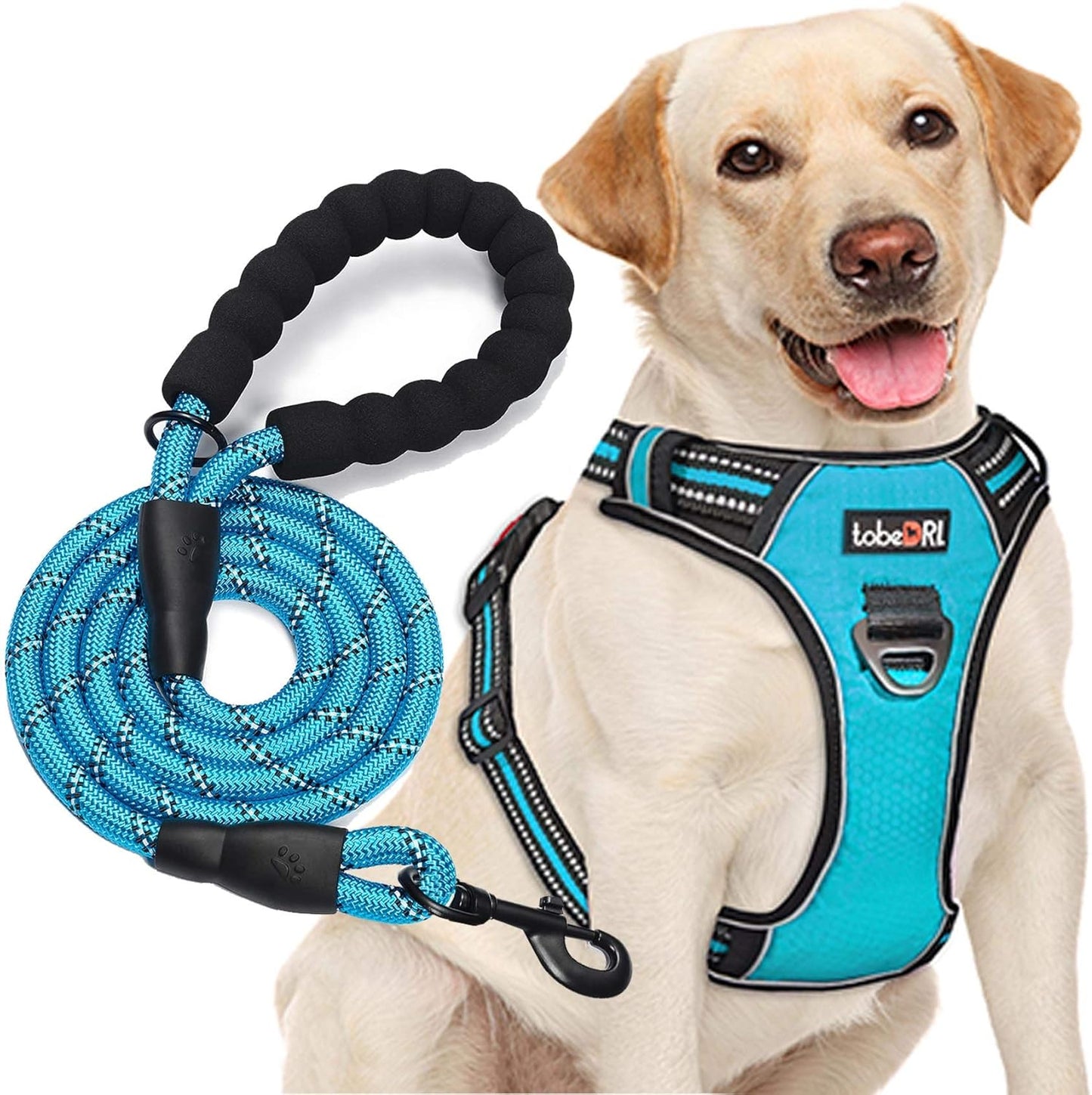 No Pull Dog Harness Adjustable Reflective Oxford Easy Control Medium Large Dog Harness with A Free Heavy Duty 5ft Dog Leash (L (Neck: 18"-25.5", Chest: 24.5"-33"), Blue Harness+Leash)