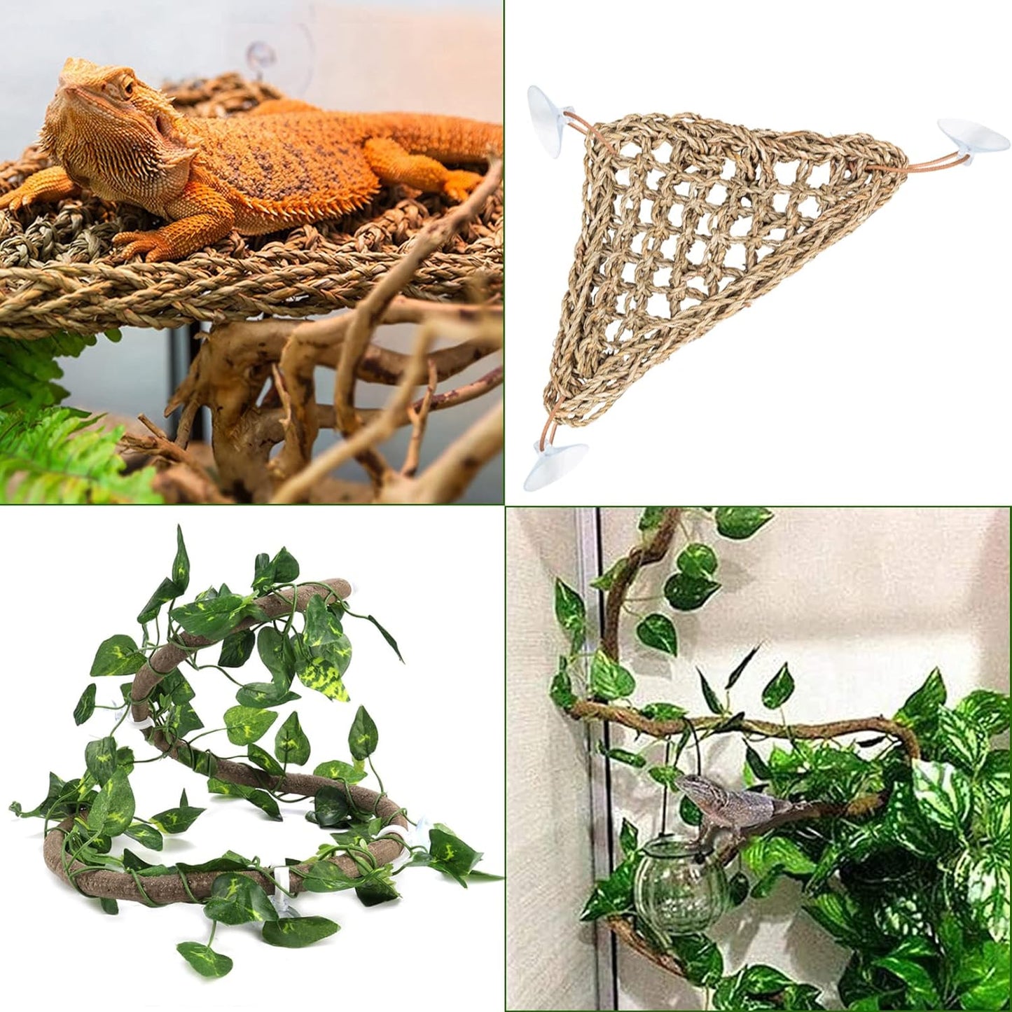 Hamiledyi Collapsible Gecko Tank Starter Kits, Reptile Travel Carrier 15.6" x 11.6" x 9.4" Small Portable Habitat Cages for Leopard Gecko, Bearded Dragon, Snake, Tortoise（White）