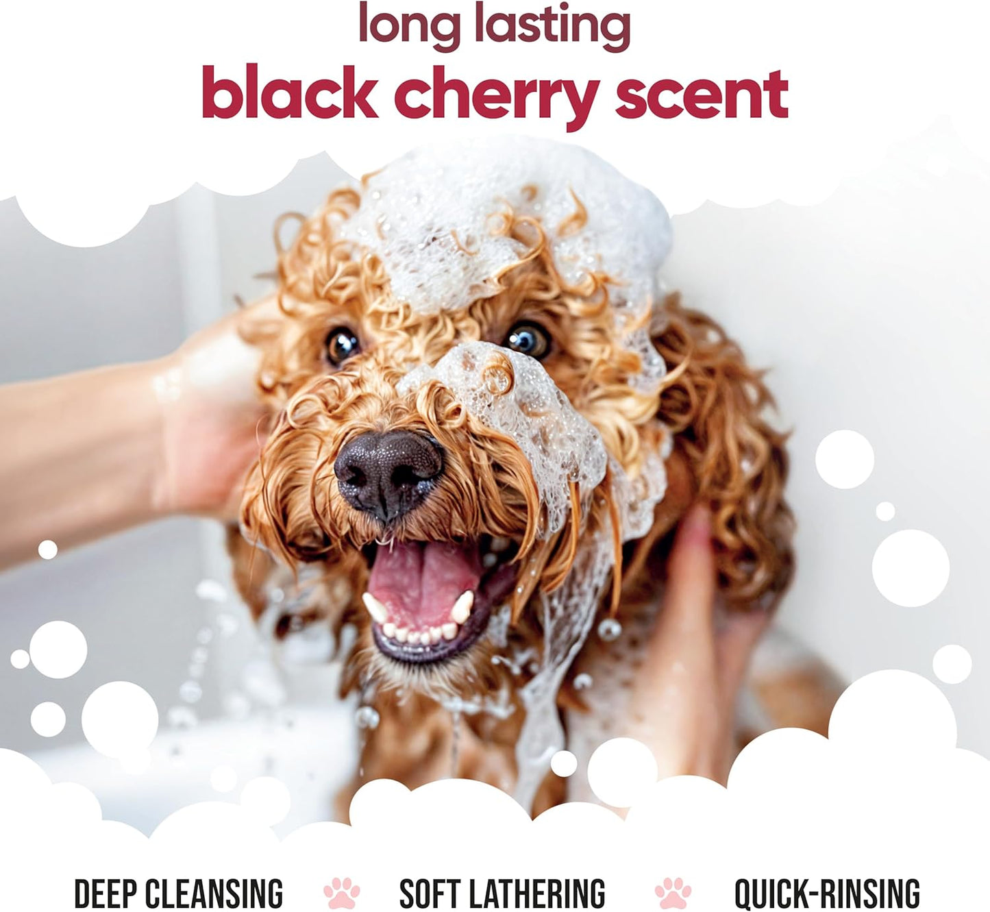 Black Cherry Dog Shampoo by Buddycare | Deep Cleansing Shampoo for Dogs | Black Cherry Scented | with Aloe Vera and Pro Vitamin B5 (33.8oz)