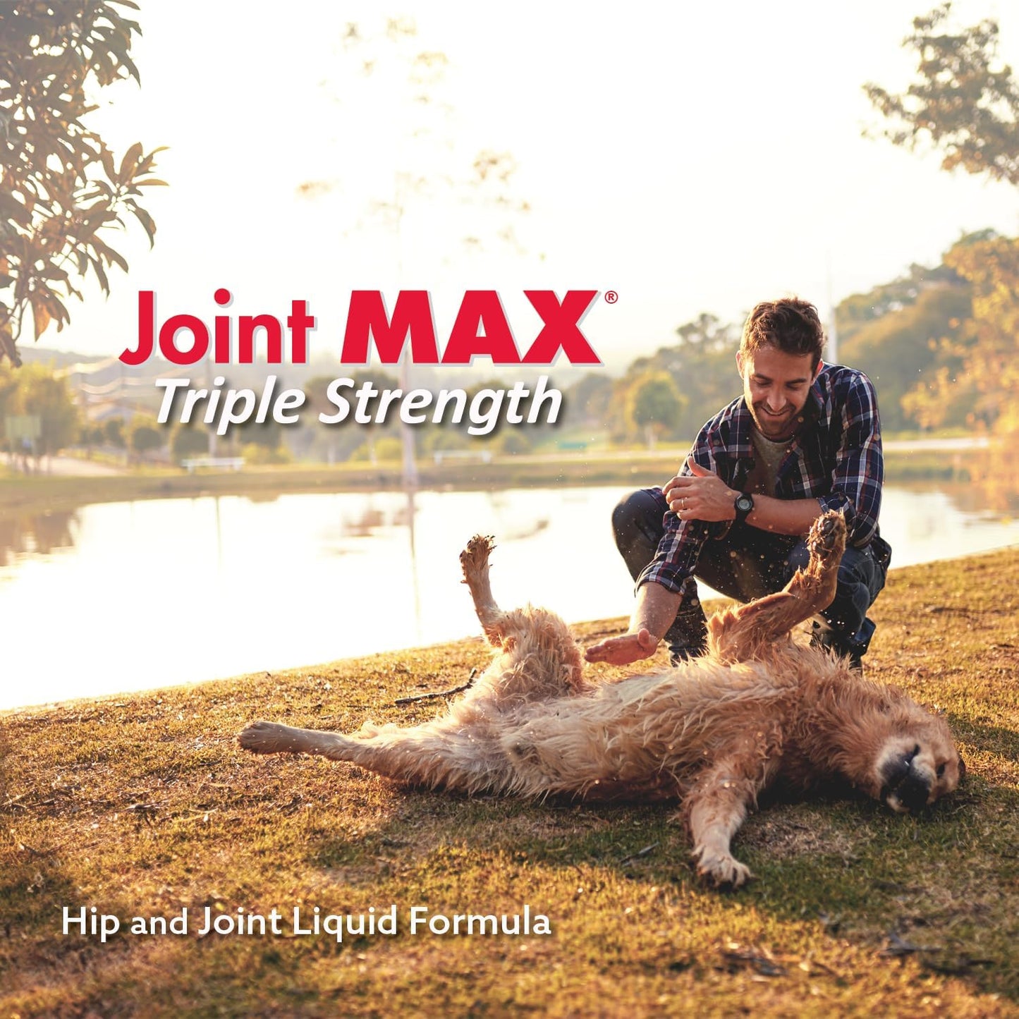Liquid for Dogs - Vitamins, Minerals, Antioxidants - Glucosamine, Chondroitin - Beef Flavor - Maximum Joint Health Supplement for Dogs - 32 fl oz