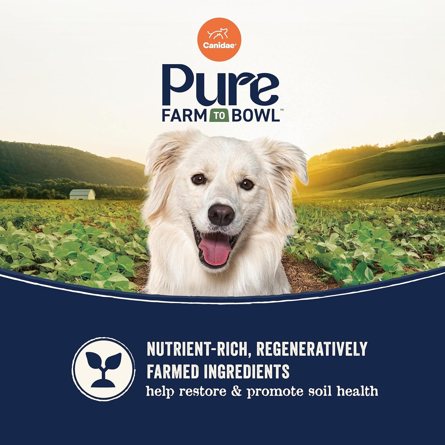 Canidae Pure Farm to Bowl Pasture-Raised Lamb & Sweet Potato, Grain-Free Dry Dog Food, Adult, 22lb