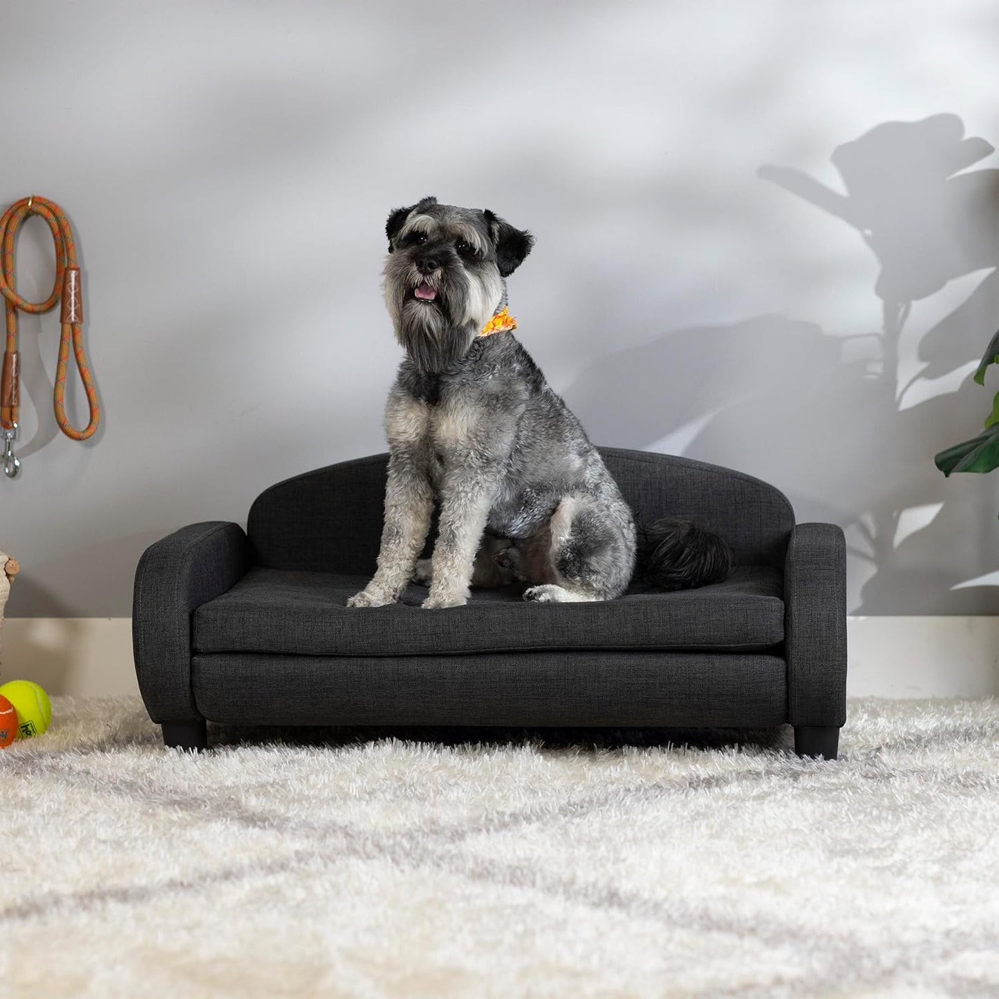Paws & Purrs Multi-Cat Sofa Elevated Pet Bed for Indoor Cats Raised Cats Couch with Removable Washable Mattress Cover for Kittens, Dogs - 35.5" Wide, Gray