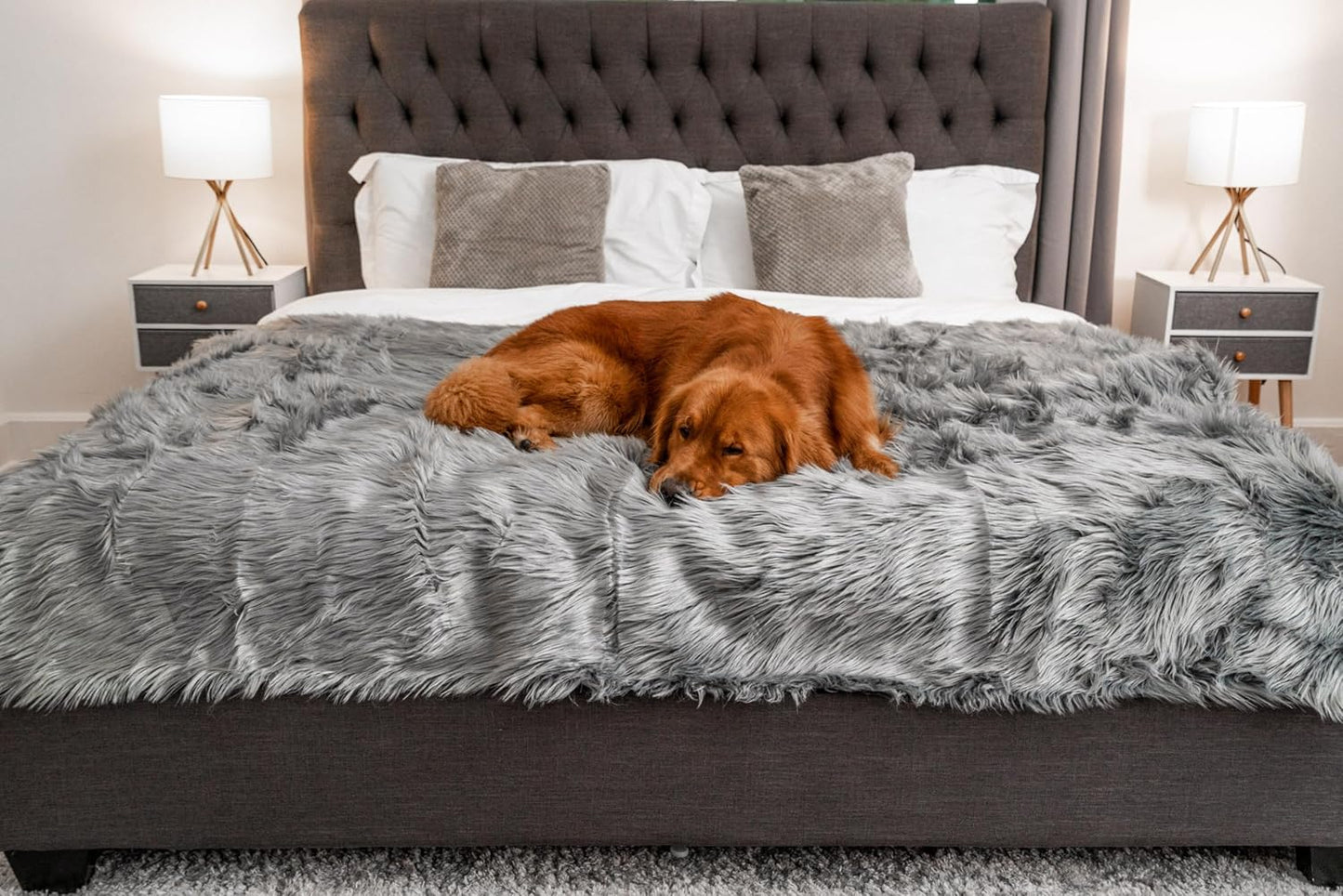 PupProtector Waterproof Throw Blanket for Dogs and Cats, Pet Blanket Cover for Couches, Sofas, Beds, Car Seats, Furniture, Calming Soft Faux Fur, Charcoal Grey, Large (80" L x 62" W)