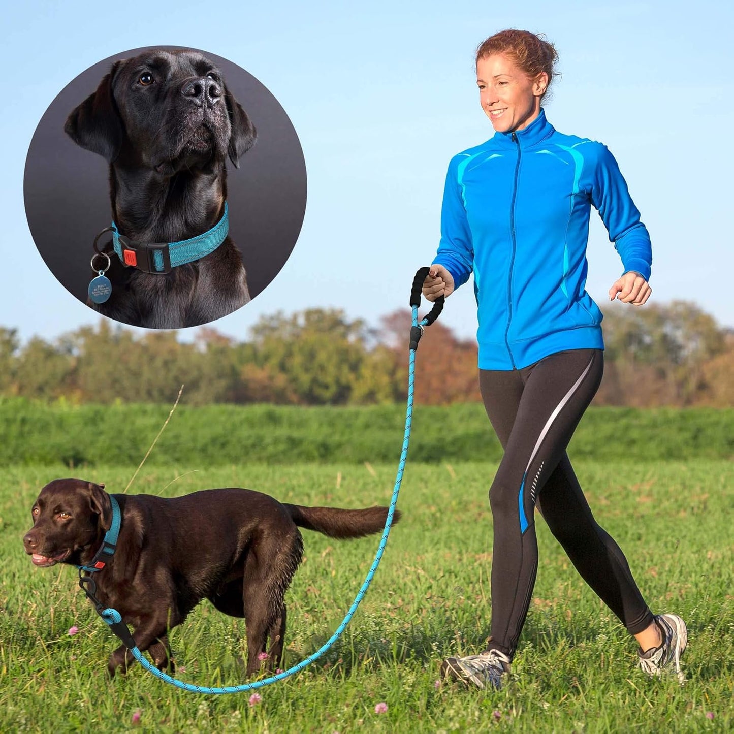 Heavy Duty Dog Leash - Comfortable Padded Handle, 5 ft Long - Dog Leashes for Small Medium Large Dogs (Leash+Collar XS Neck 10.5"-13.5", Purple)