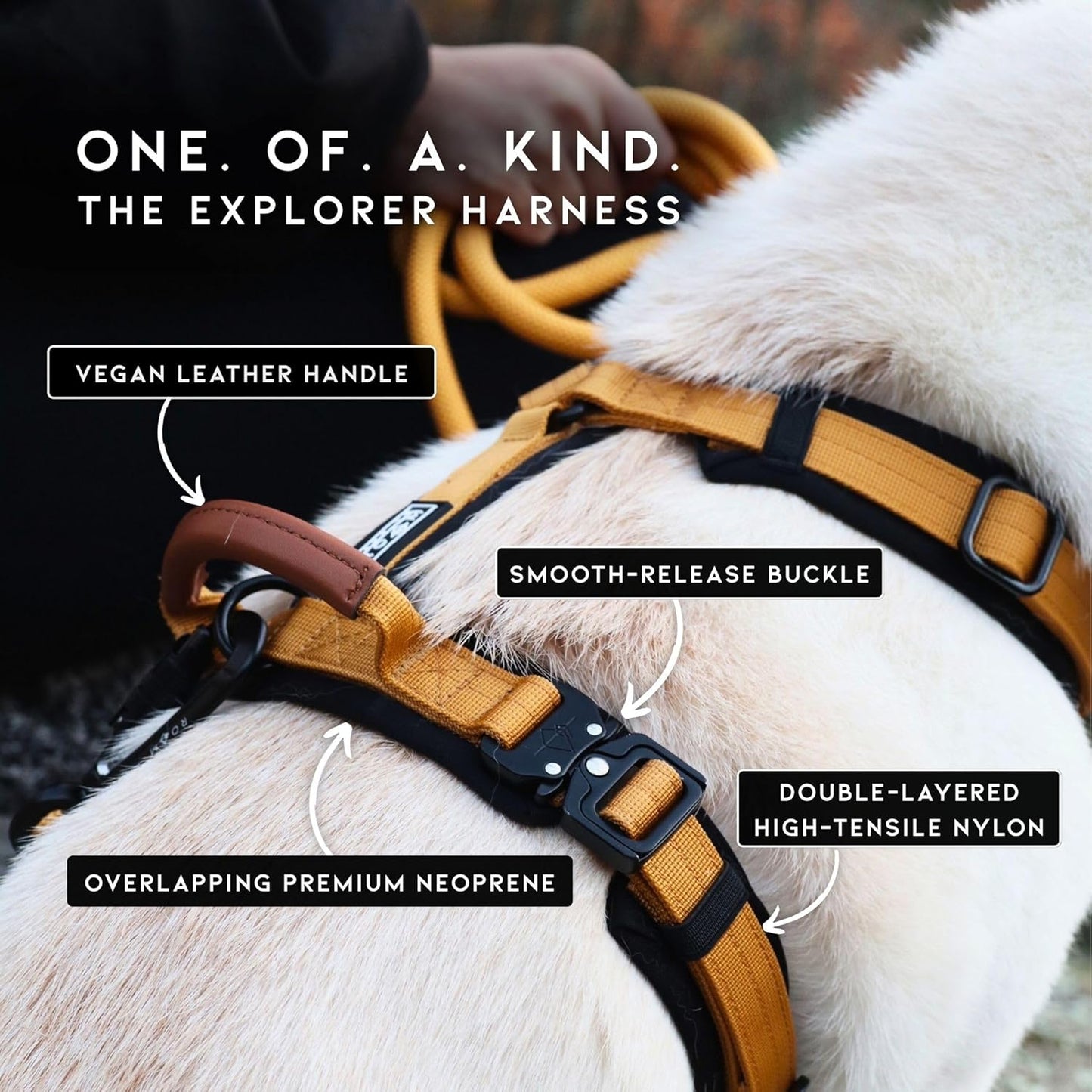 MADE TO ROAM Premium Explorer Harness - Y-Shaped Dog Harness with Adjustable Durable Nylon, Soft Padding, Metal Buckles and Leather Handle for Small, Medium, Large Dogs (Carolina Blooms, Size 7)