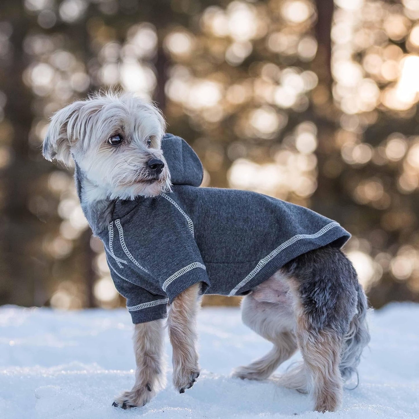 Blueberry Pet Essentials Soft & Comfy Better Basic Cotton Blend Dog Hoodie Sweatshirt in Charcoal Grey, Back Length 22", Pack of 1 Jacket for Dogs