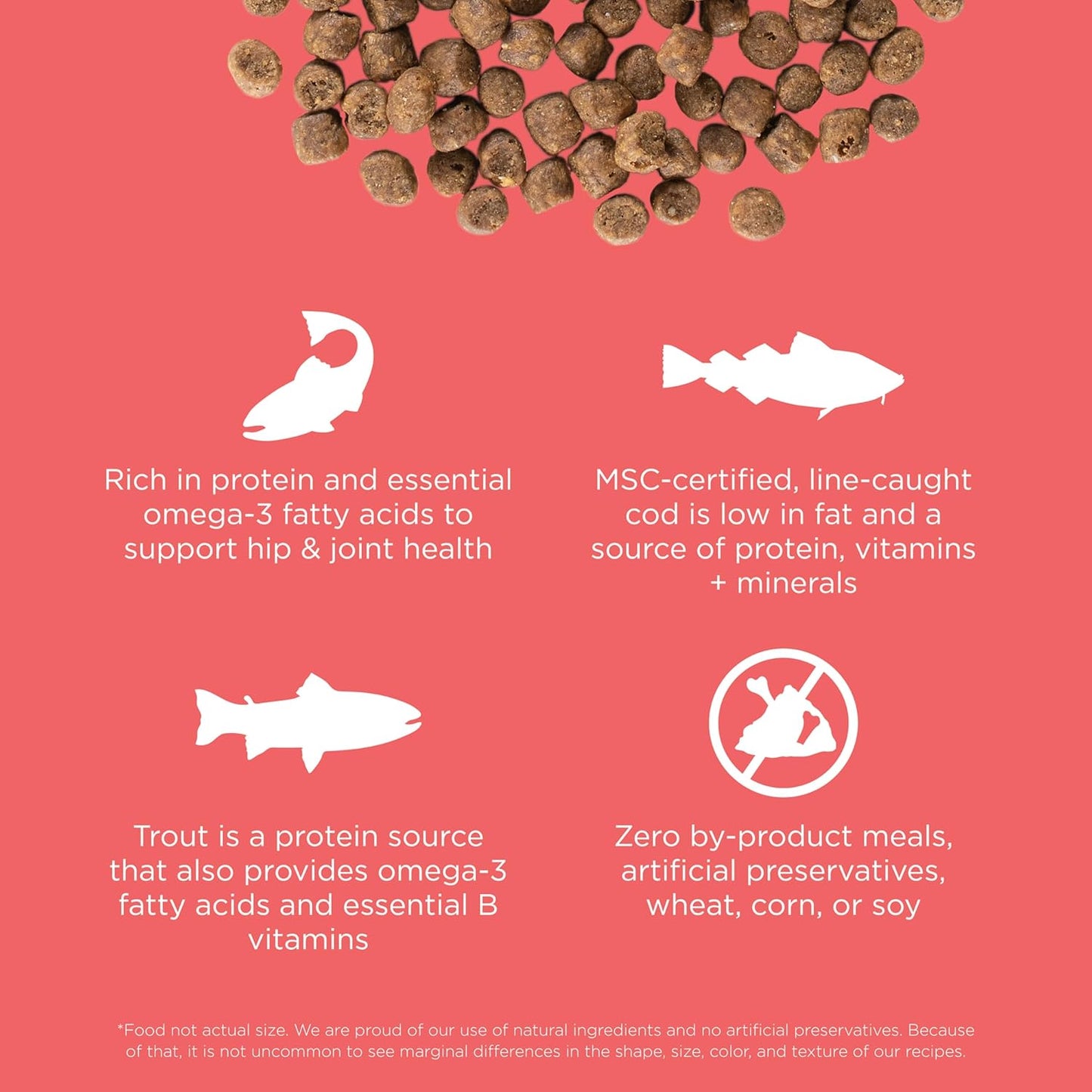 Go! Solutions Carnivore, Grain-Free, Protein Rich Dry Cat Food, Salmon and Cod Recipe, 8 lb Bag