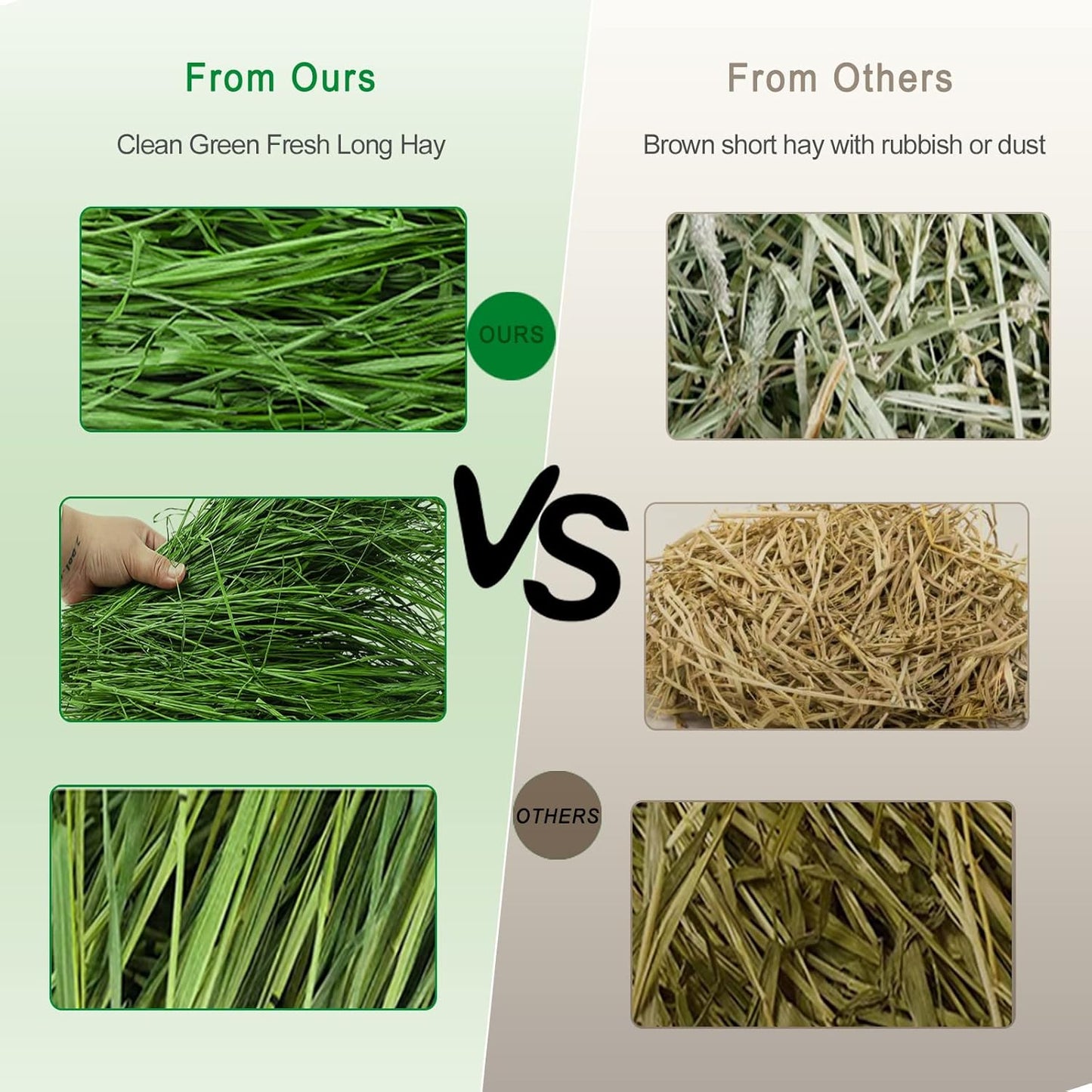 Timothy Hay Premium Hay for Rabbits Guinea Pig Chinchilla- Natural Fresh Hay Hand Selected 6.6LBS (1.1lbs, 6 Pack)
