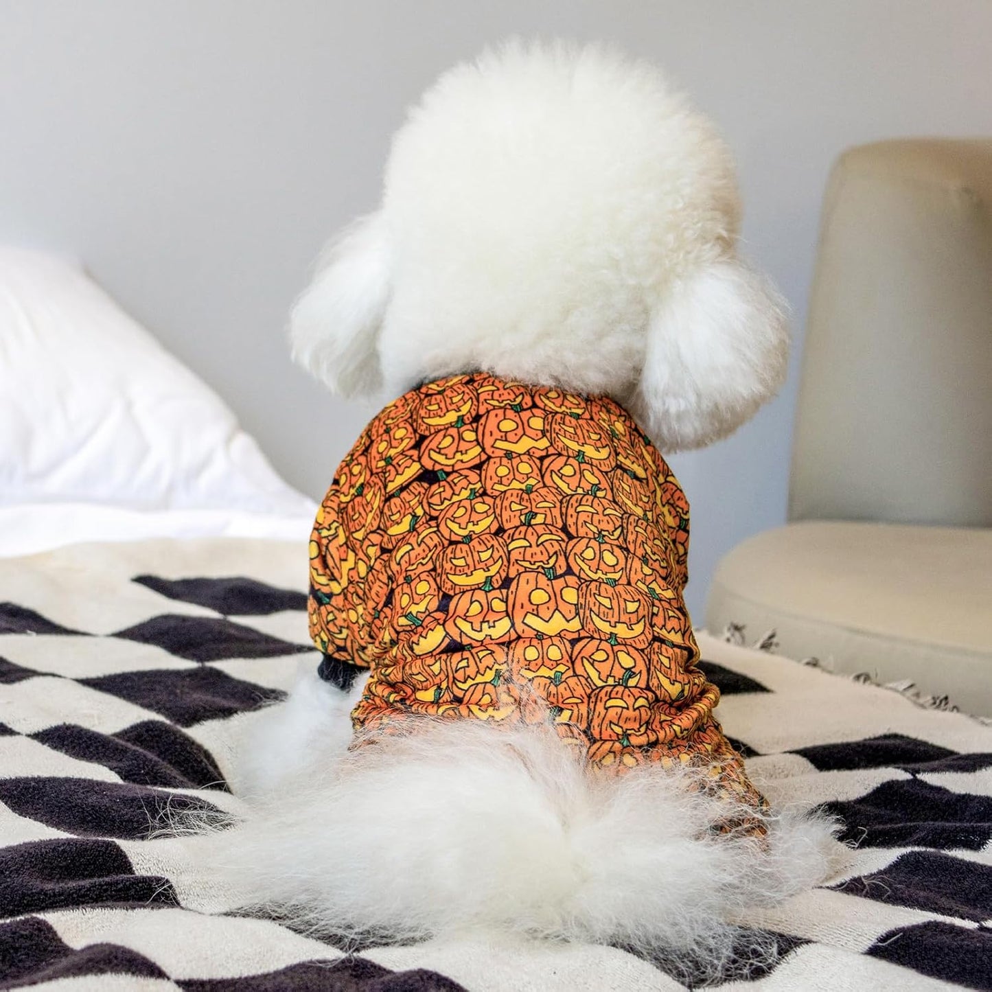 CuteBone Dog Halloween Pajamas Puppy Onesies Small Dogs Soft Pjs Coat Cat Apparel Comfy Pet Christmas Clothes Outfit Doggie Bodysuit P301M