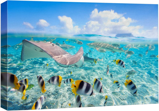 wall26 Canvas Print Wall Art Stingray & Striped Fish Under The Sea Nature Ocean Photography Realism Nautical Scenic Relax/Calm Multicolor Ultra for Living Room, Bedroom, Office - 32"x48"