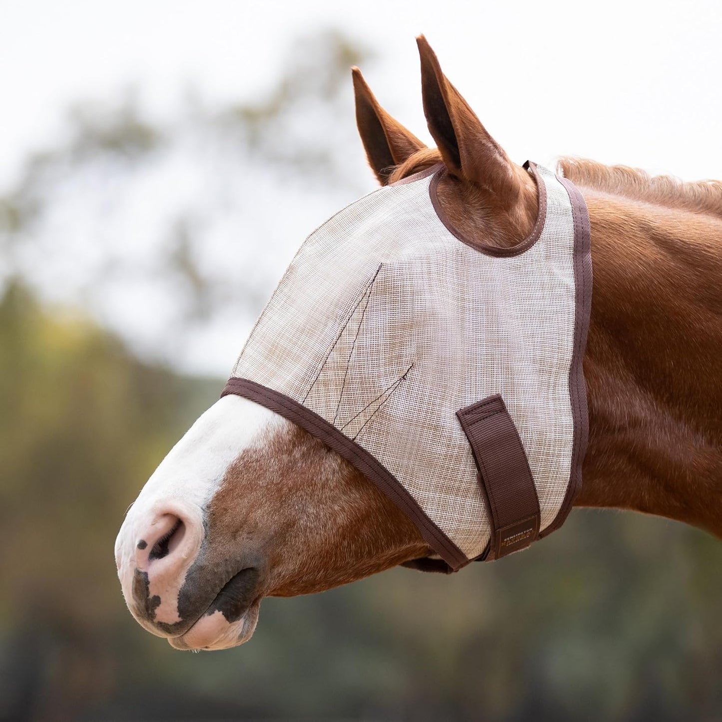 Kensington UV Horse Fly Mask with Web Trim - Protective Mask with Dual Ear Opening & Forelock Freedom - Medium, Desert Sand
