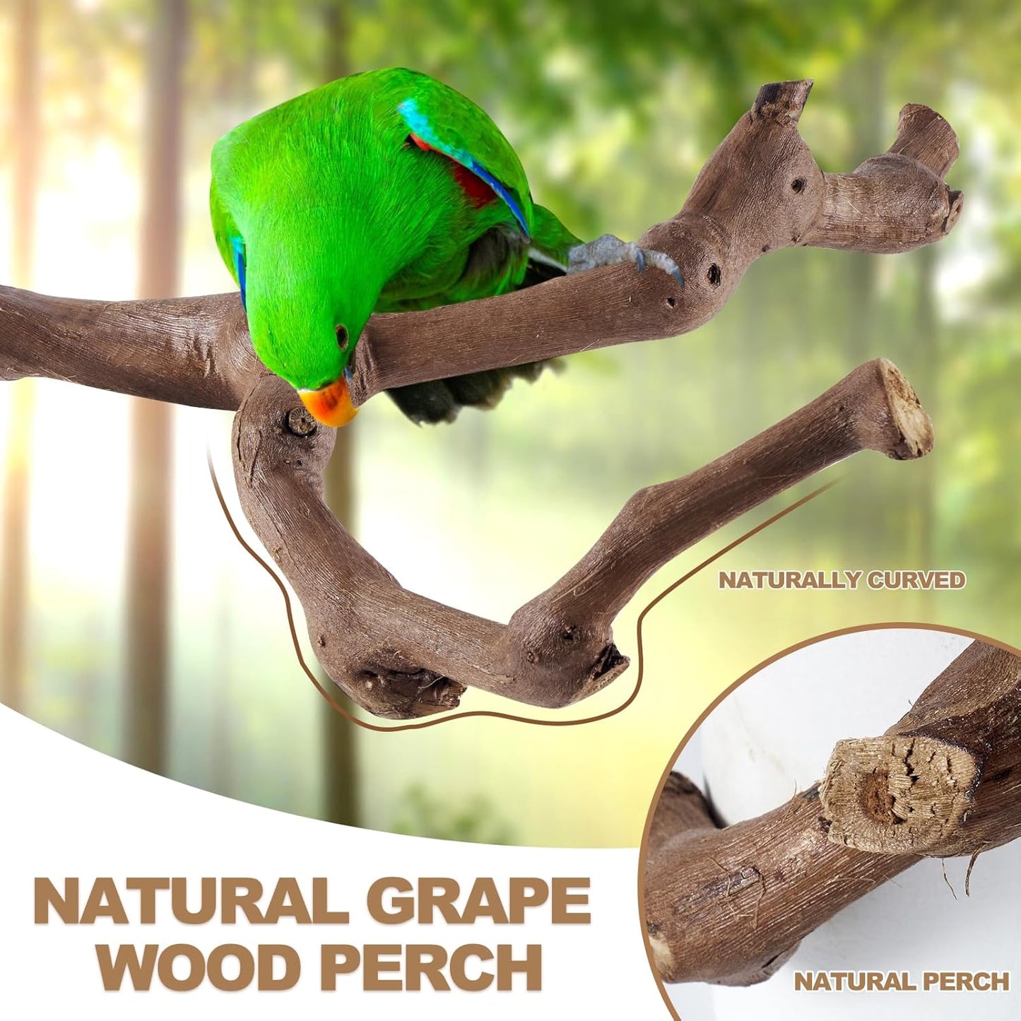 6-Piece Bird Perch Set - Natural Wood Grape Sticks, Paw Grinding Forks, Bird Stand & Toys for Parakeets, Cockatiels, Conure, Budgies