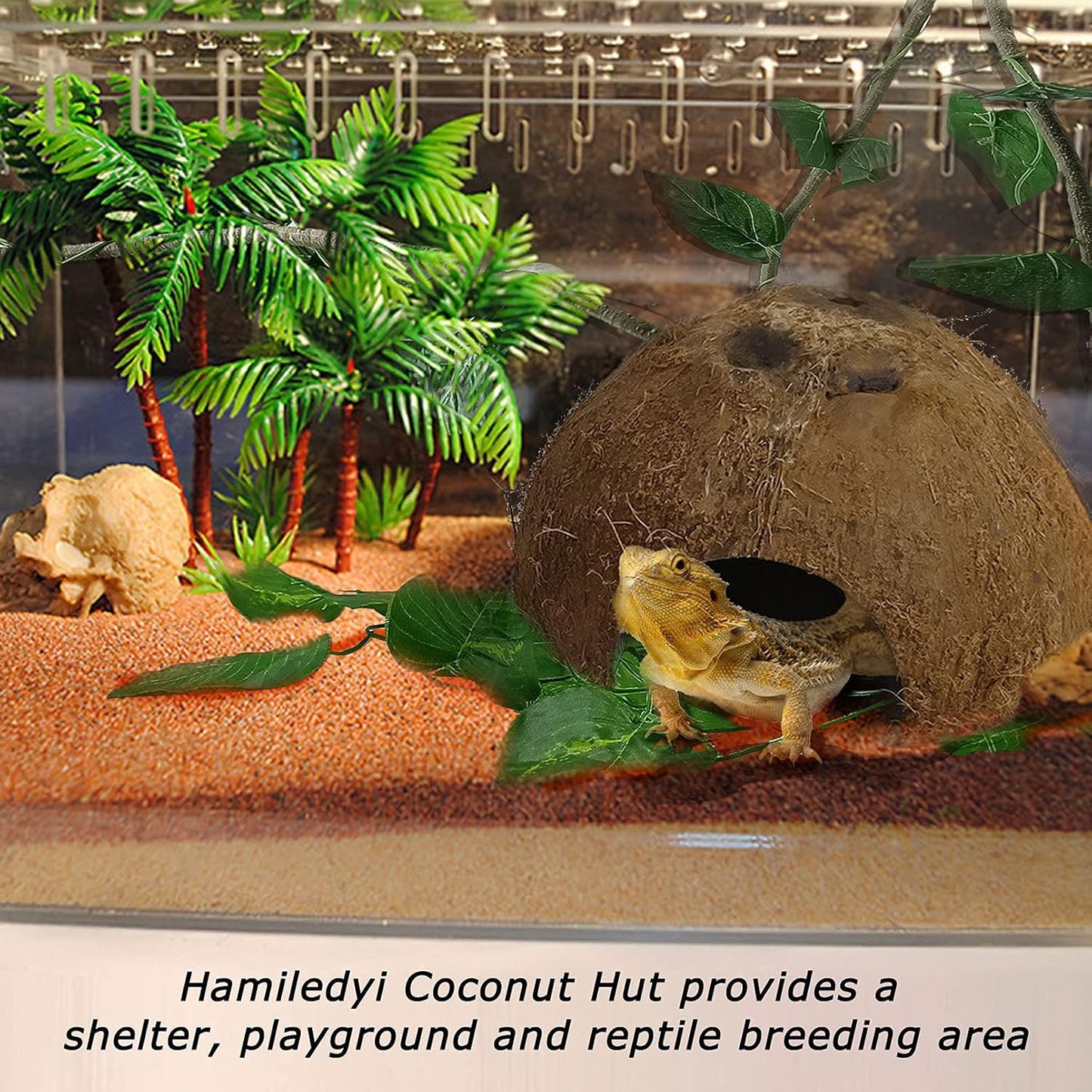 Hamiledyi Reptile Hideouts Natural Coconut Shells Hut Hermit Crab Climbing Toys Gecko Hide Cave Lizard Habitat Decor Plant Leaves Decoration for Spider Snake Chameleon (4Pcs)