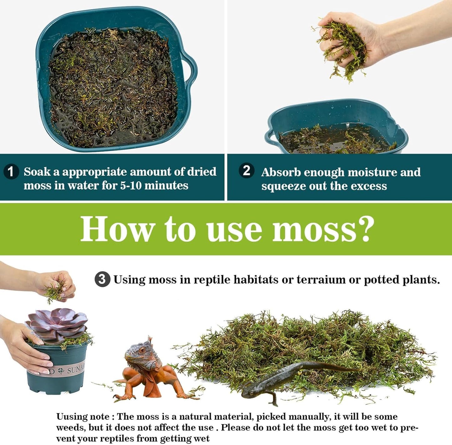 Sukh Sphagnum Moss for Reptiles - Terrarium Reptiles Moss Green Dried Peat Moss Habitat Bedding Moss for Snakes Turtle Frog Gecko and Other Reptiles Substrate (5, Ounces)