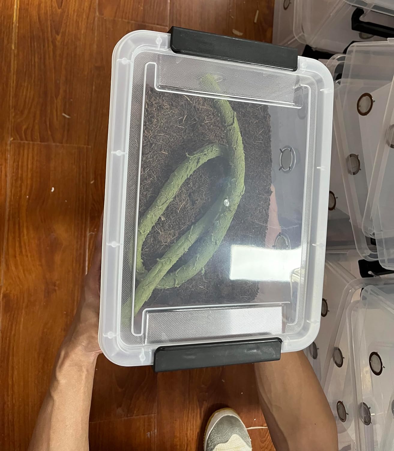 2pcs Large Reptile Feeding Box Snake Breeding Box Plastic Reptile Tank for Sling,Geckos,Frog,Lizards,Chameleons,Turtles, Serpents Scorpion Snail Insect Hermit Crab Spider