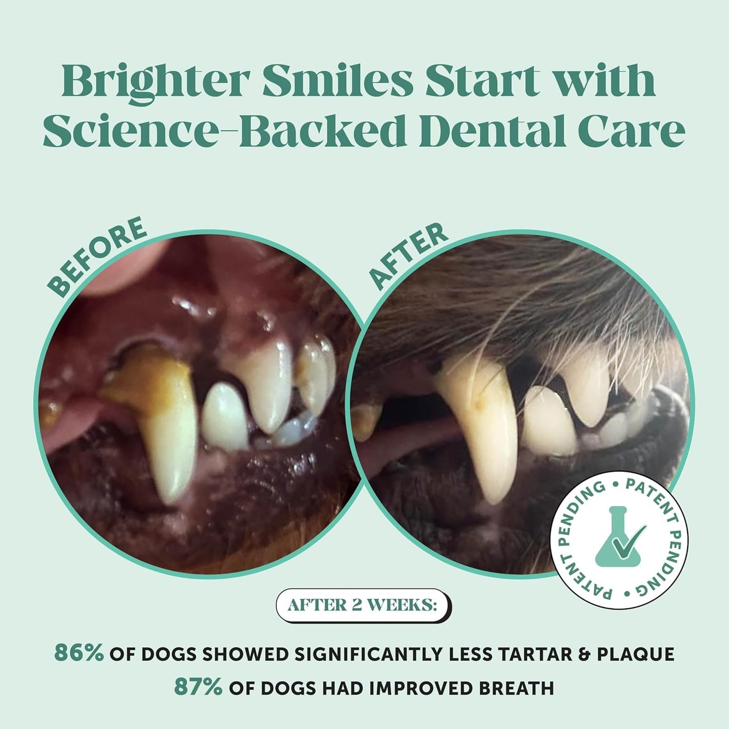 Dog Breath Freshener Dental Powder for Teeth Cleaning Plaque Off, Dental Care for Dogs, Tartar Remover for Teeth with Natural Herbal Blend + Postbiotics (Mint - 30 Servings)